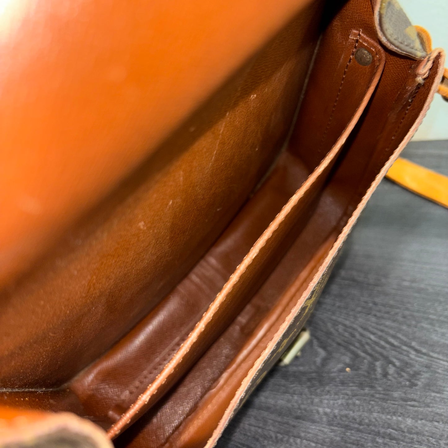 #351 LOUIS VUITTON Cartouchiere MM