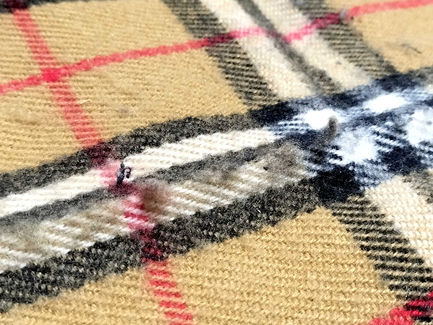 #1319 BURBERRY Vintage Archive Beige Check 100% Lambswool Scarf