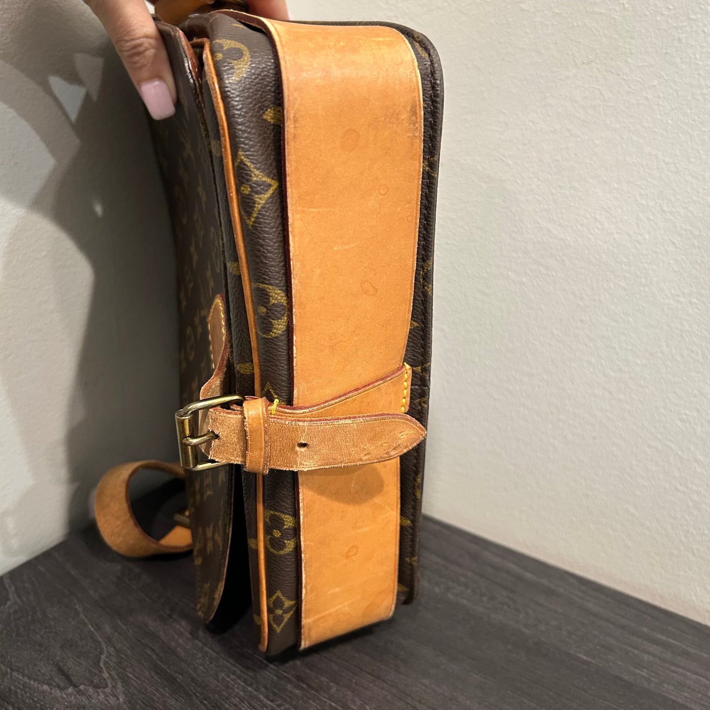#511 LOUIS VUITTON Cartouchiere GM