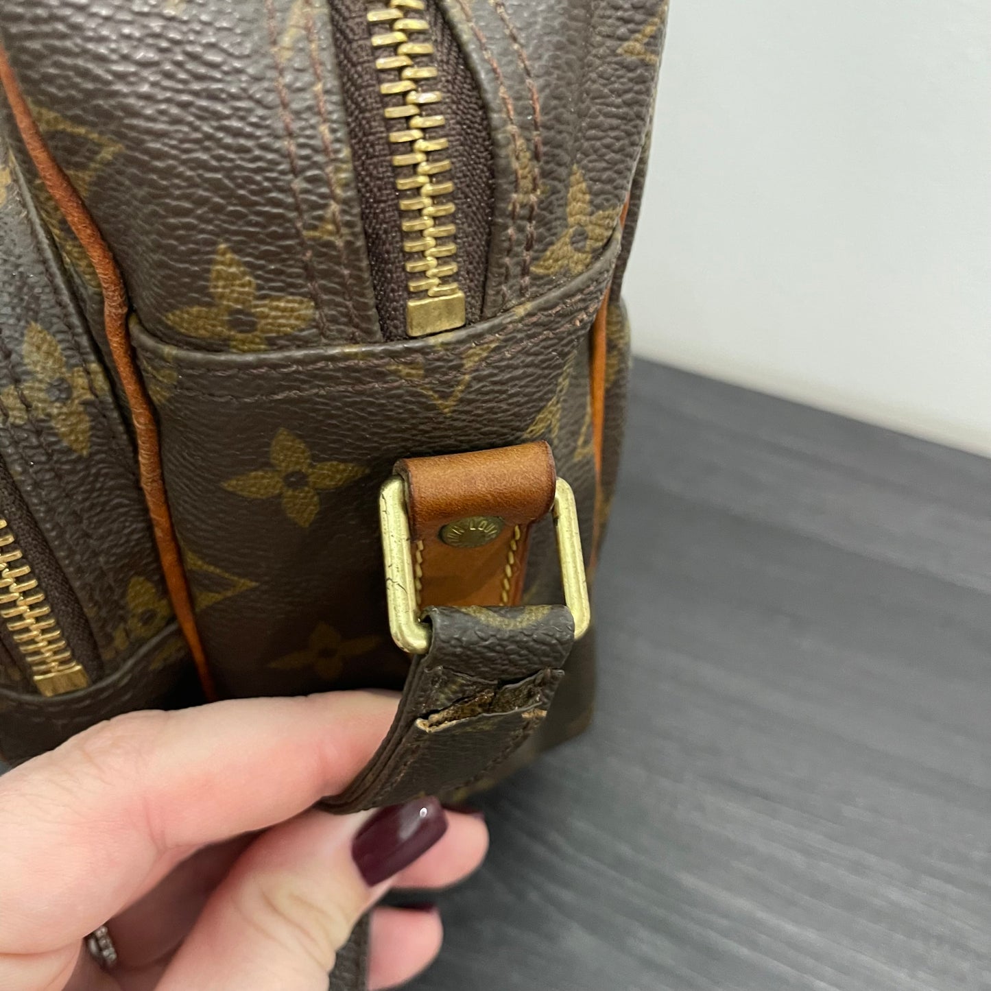Louis Vuitton Monogram Nile Crossbody
