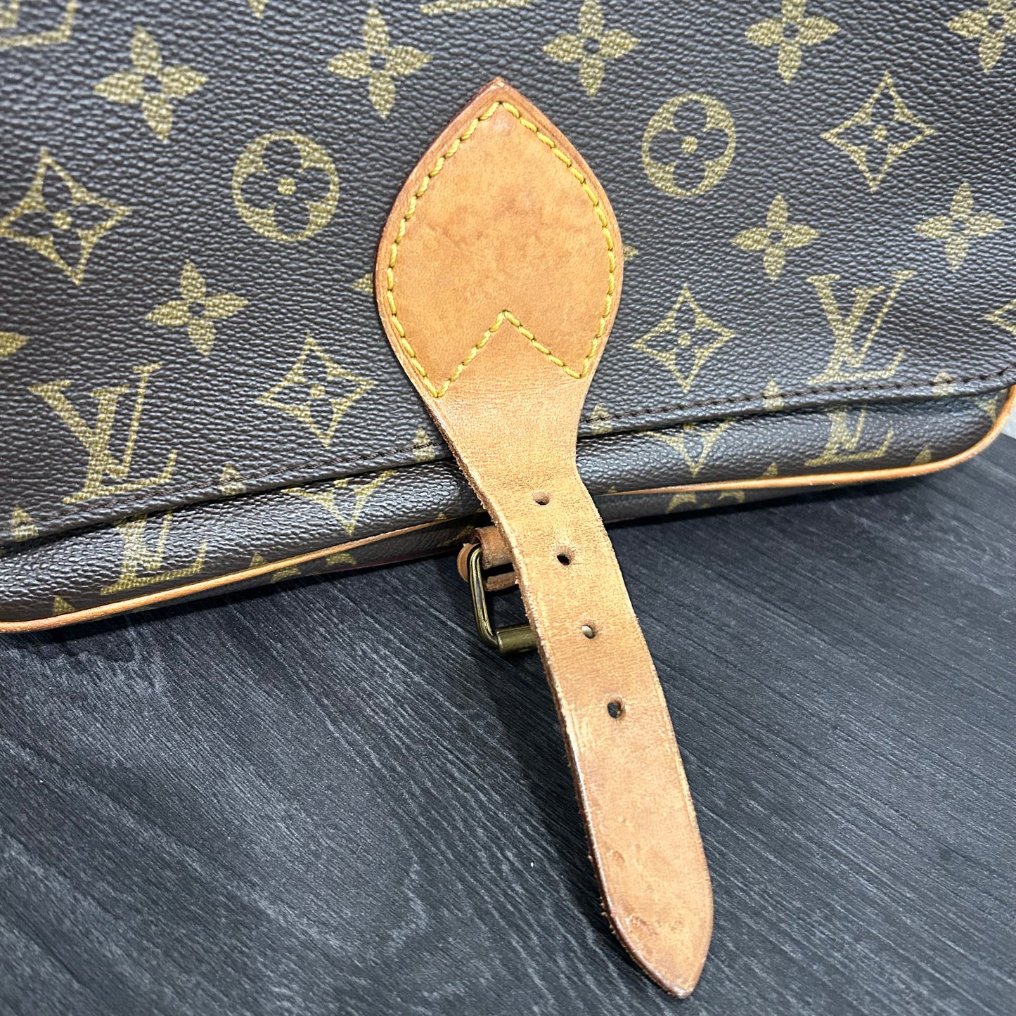 #511 LOUIS VUITTON Cartouchiere GM
