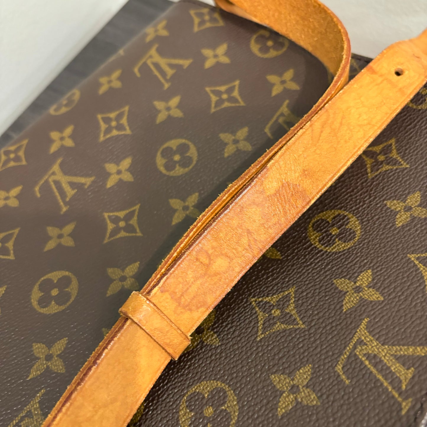 #336 LOUIS VUITTON Cartouchiere GM