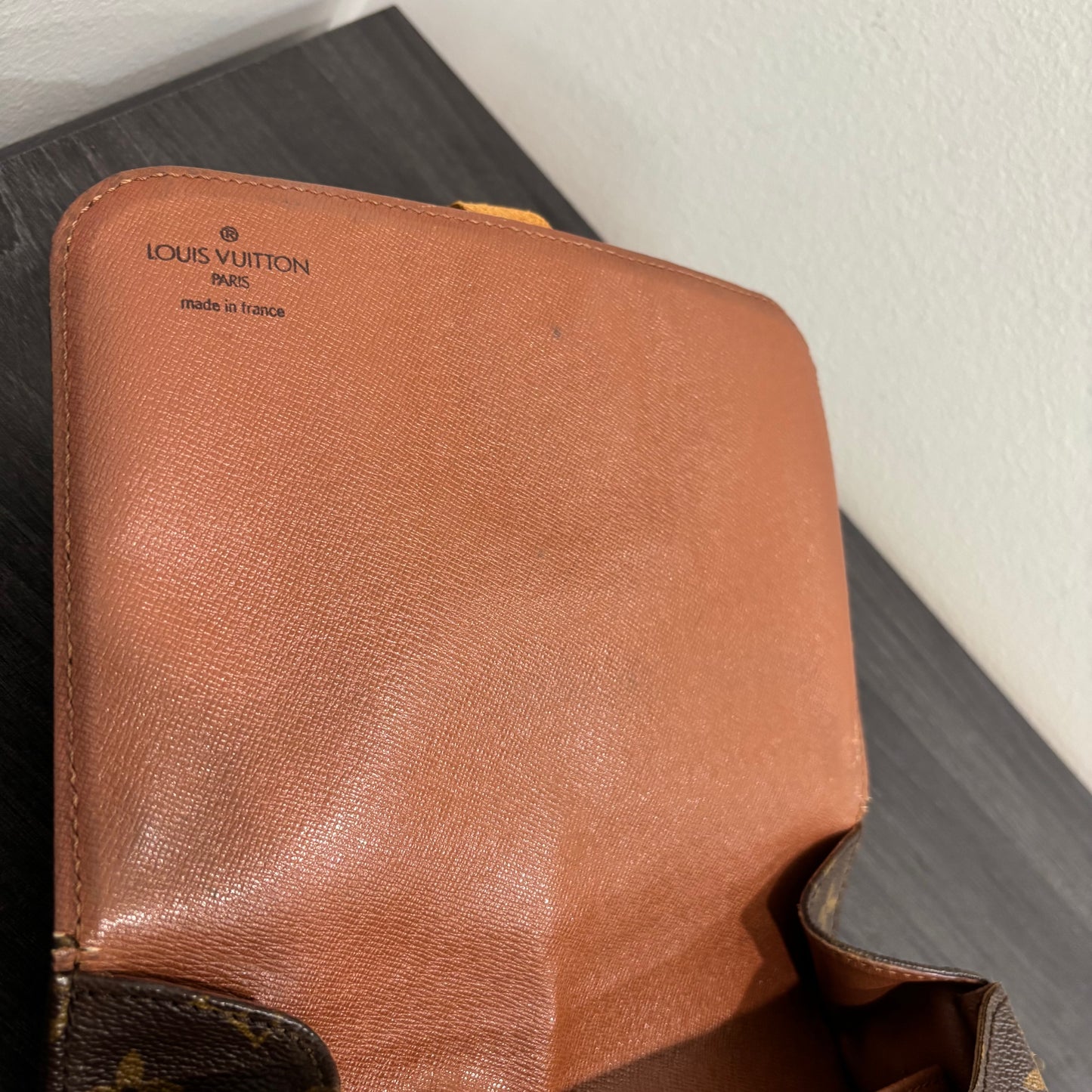 #341 LOUIS VUITTON Cartouchiere MM