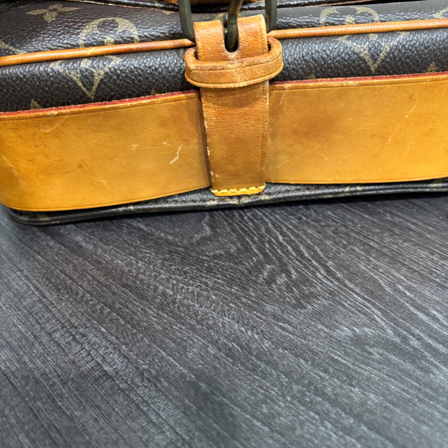 #351 LOUIS VUITTON Cartouchiere MM