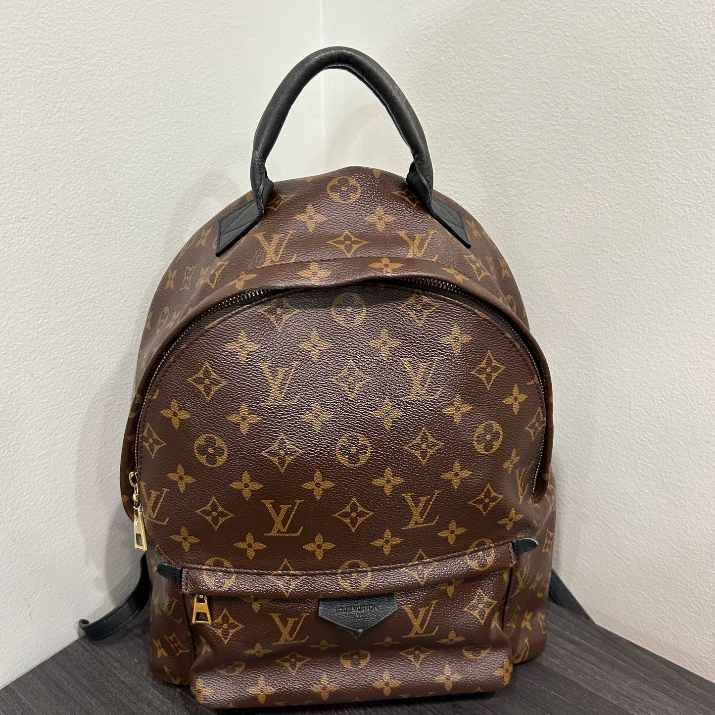 #102 LOUIS VUITTON Palm Springs MM Backpack