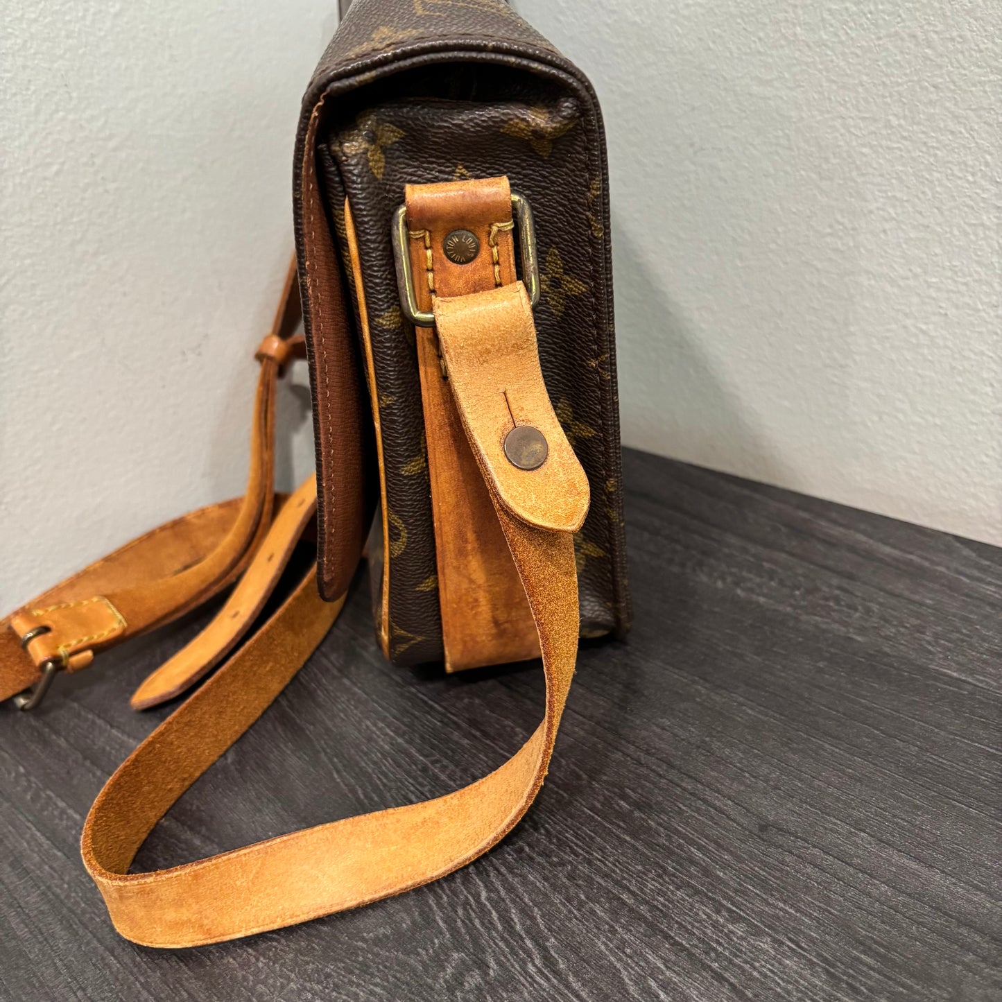#341 LOUIS VUITTON Cartouchiere MM