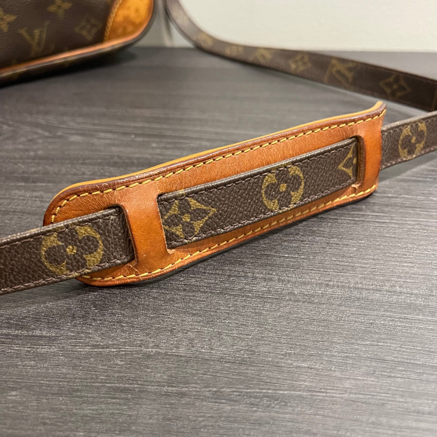 Louis Vuitton Monogram Nile Crossbody