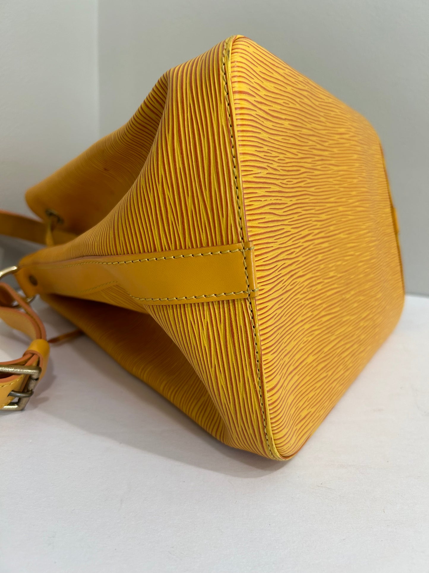 Louis Vuitton Epi Petit Noe