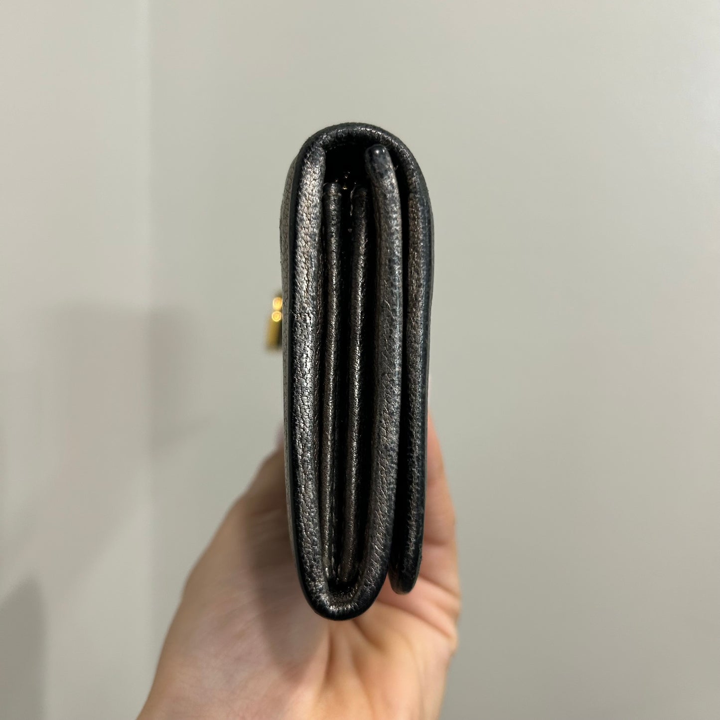 SOLD! Loewe Metallic Wallet