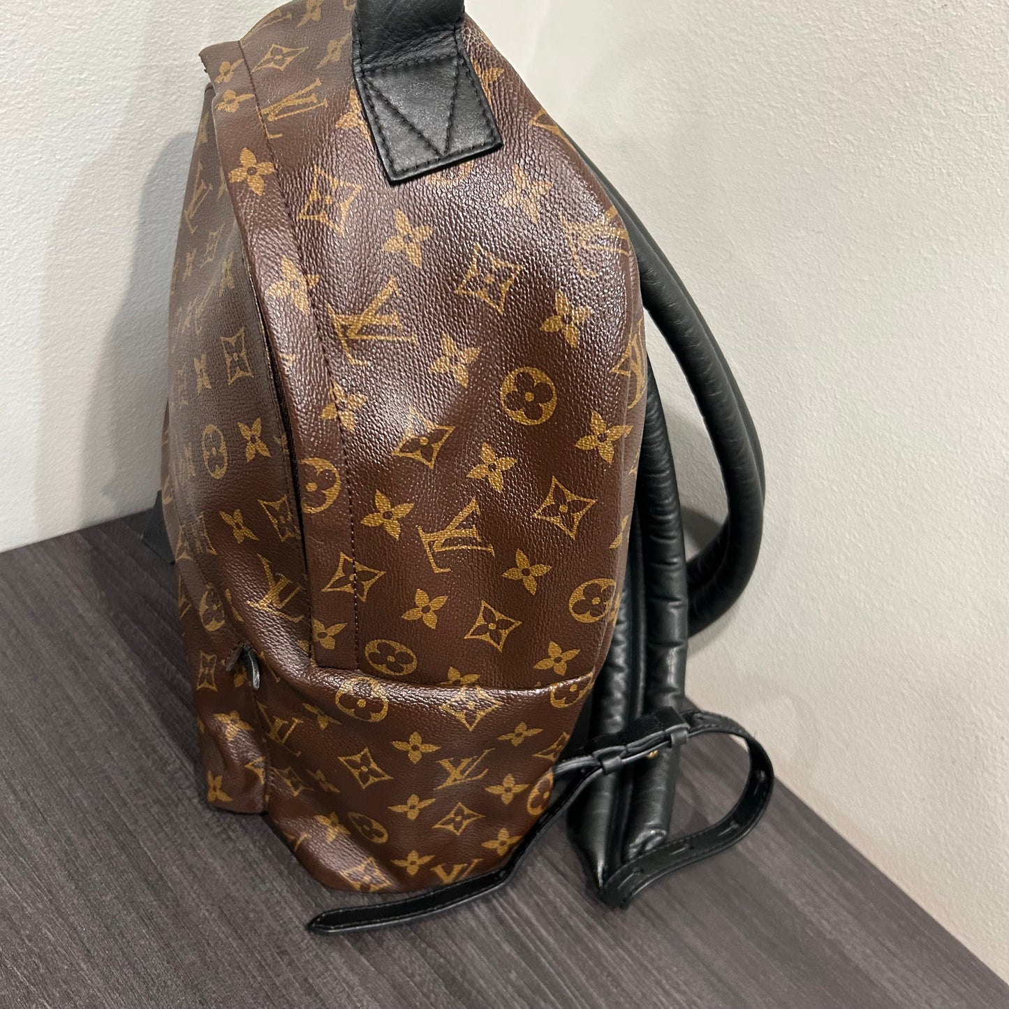 #102 LOUIS VUITTON Palm Springs MM Backpack