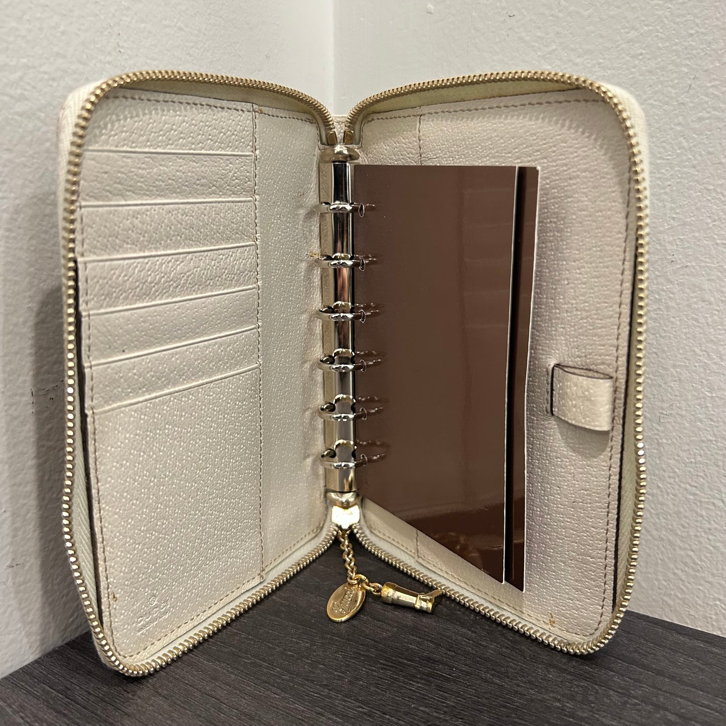 #177 GUCCI Canvas Day Planner
