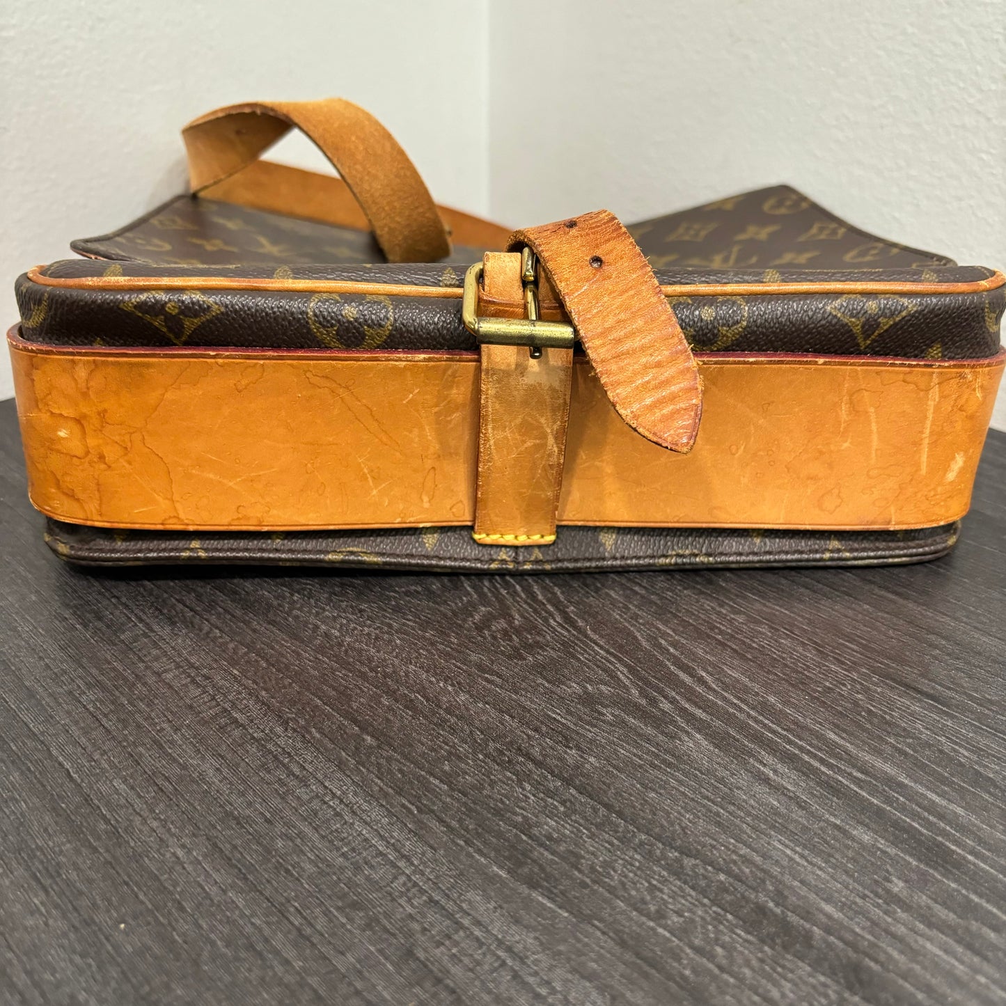 #336 LOUIS VUITTON Cartouchiere GM