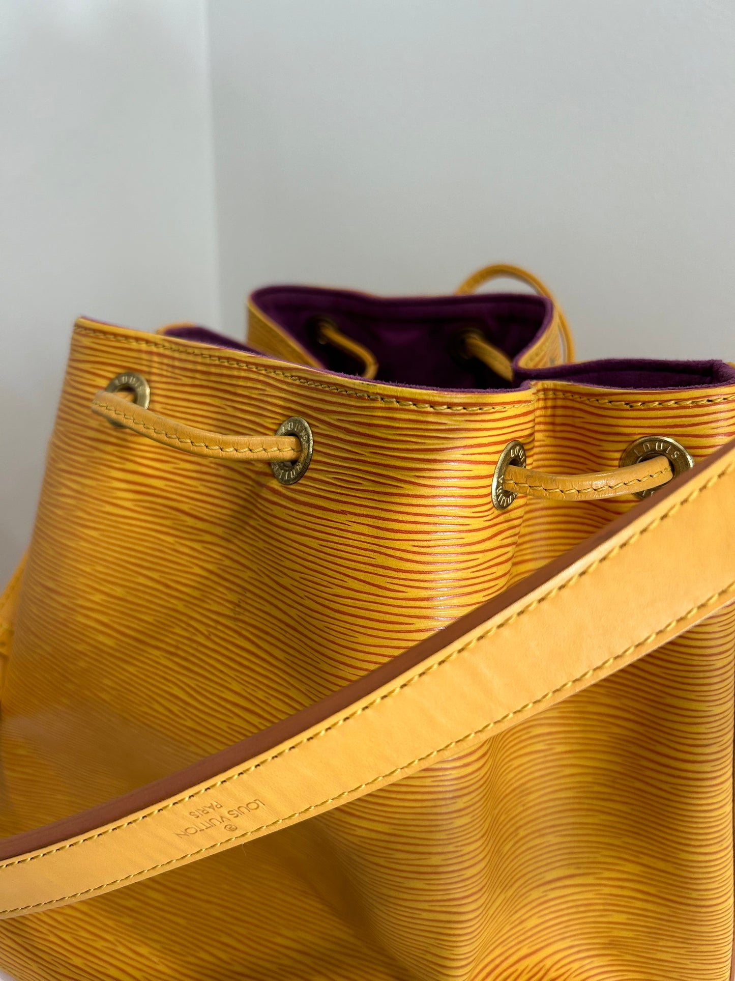 Louis Vuitton Epi Petit Noe