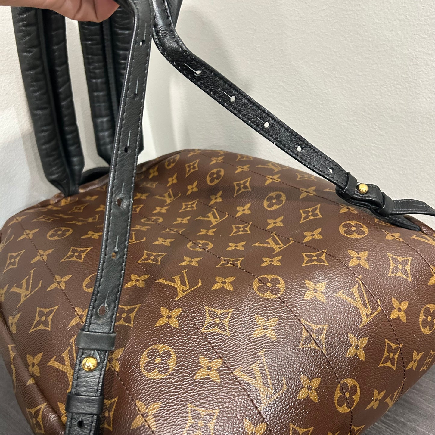 #102 LOUIS VUITTON Palm Springs MM Backpack