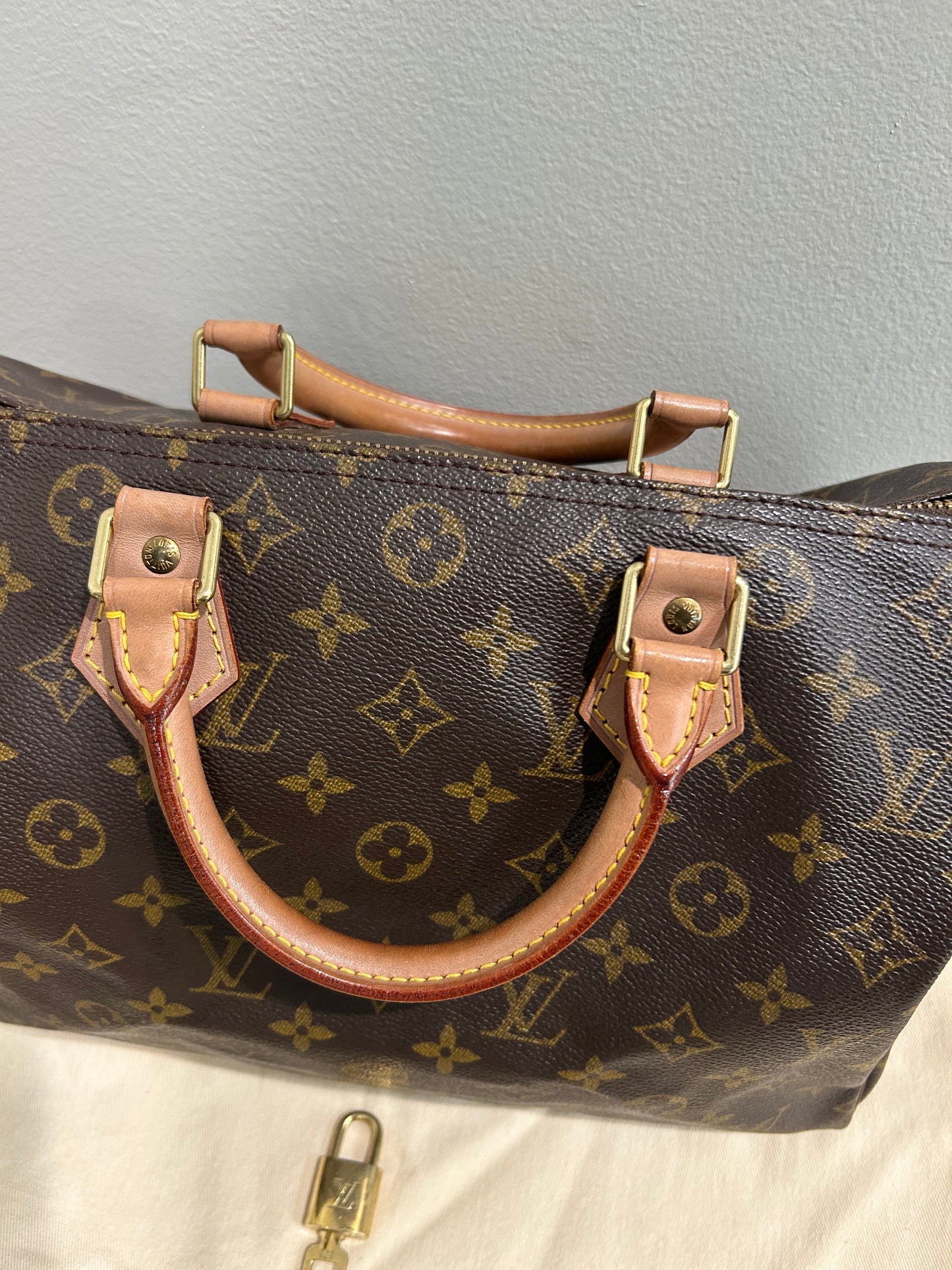FRIDAY DEALš„ Louis Vuitton Monogram Speedy 30 *Extra 50% Off for Subscribers*