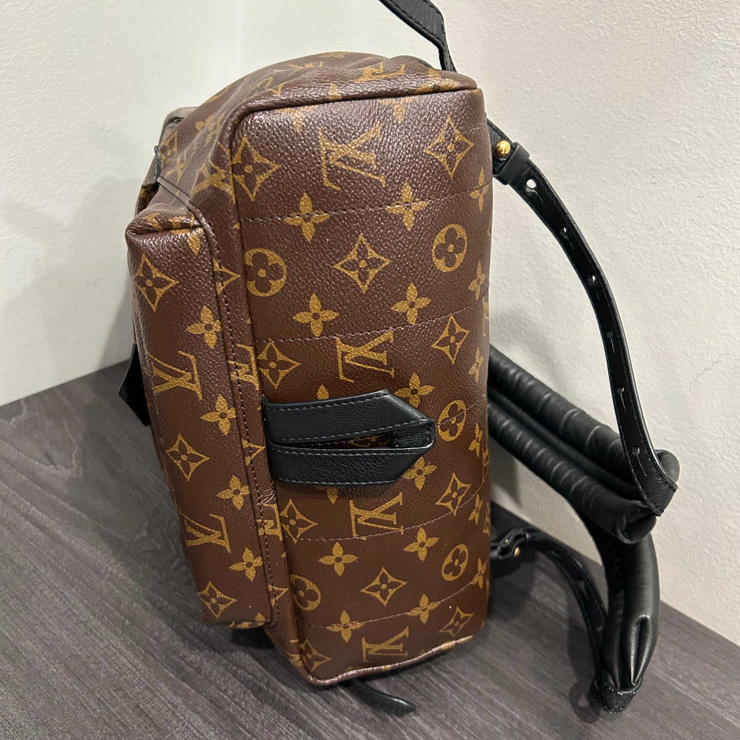 #102 LOUIS VUITTON Palm Springs MM Backpack