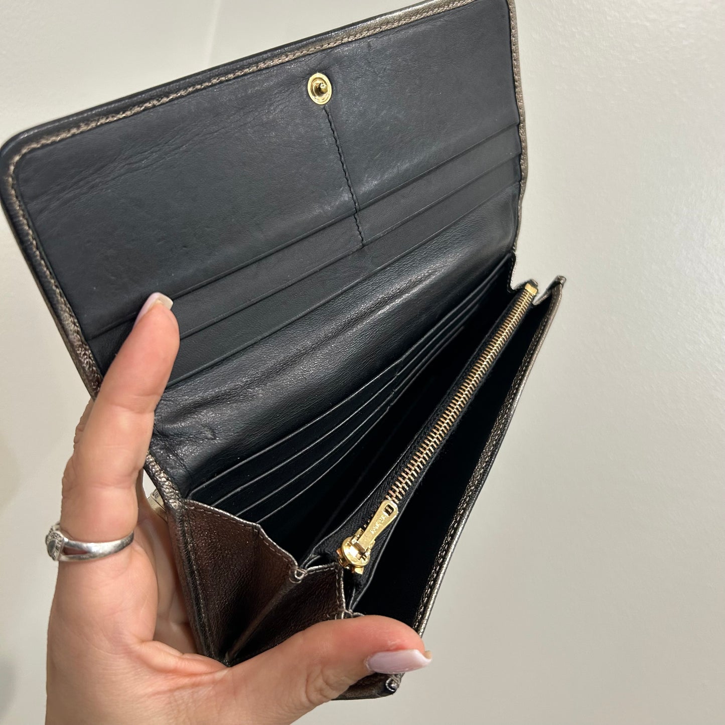 SOLD! Loewe Metallic Wallet