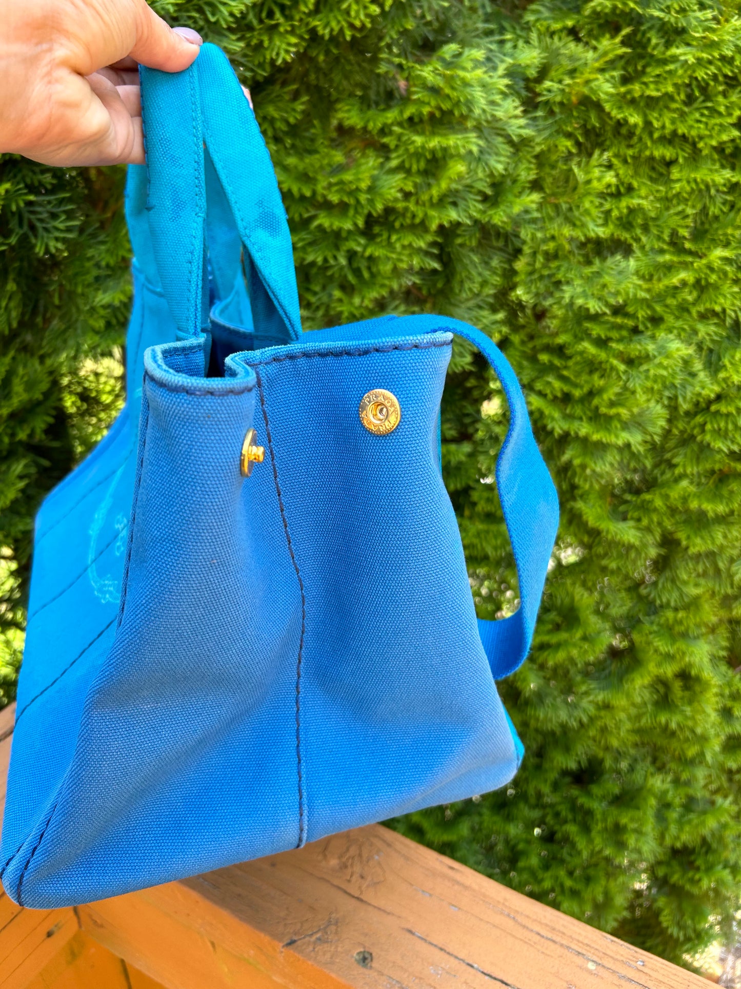 SOLD! Project Bags - LV Neverfull PM, Gucci Tote & Prada Canapa Bag