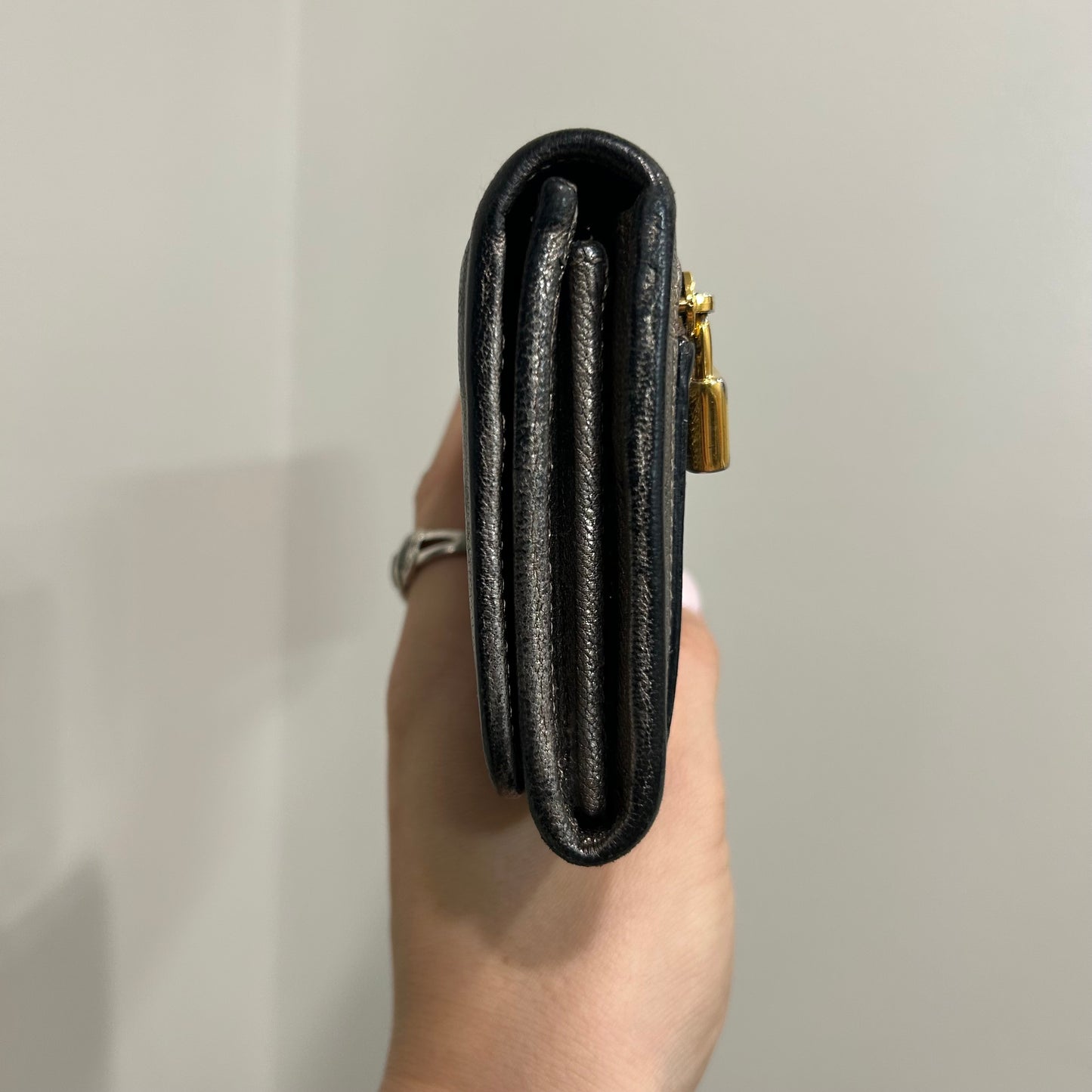 SOLD! Loewe Metallic Wallet