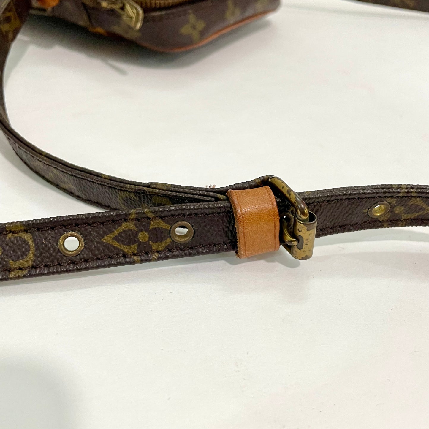 Louis Vuitton Monogram Danube Crossbody