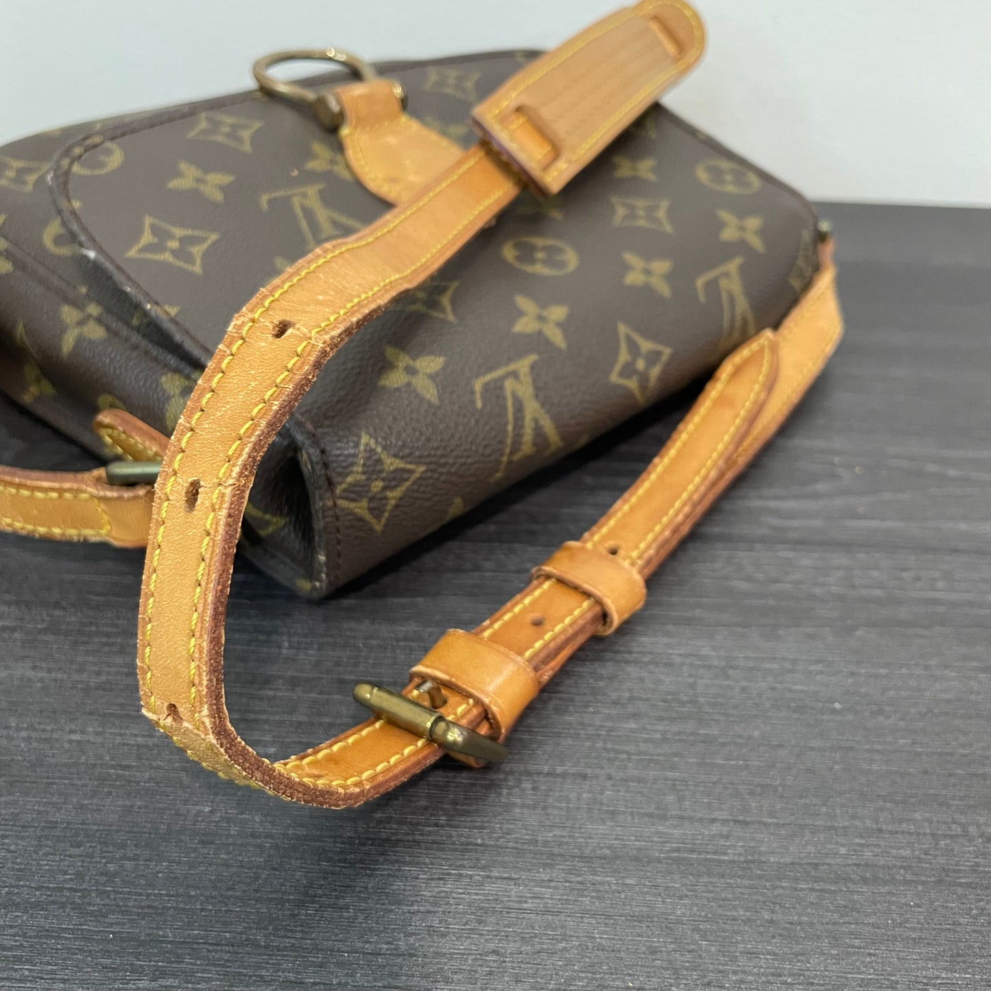 Louis Vuitton Monogram Saint Cloud PM