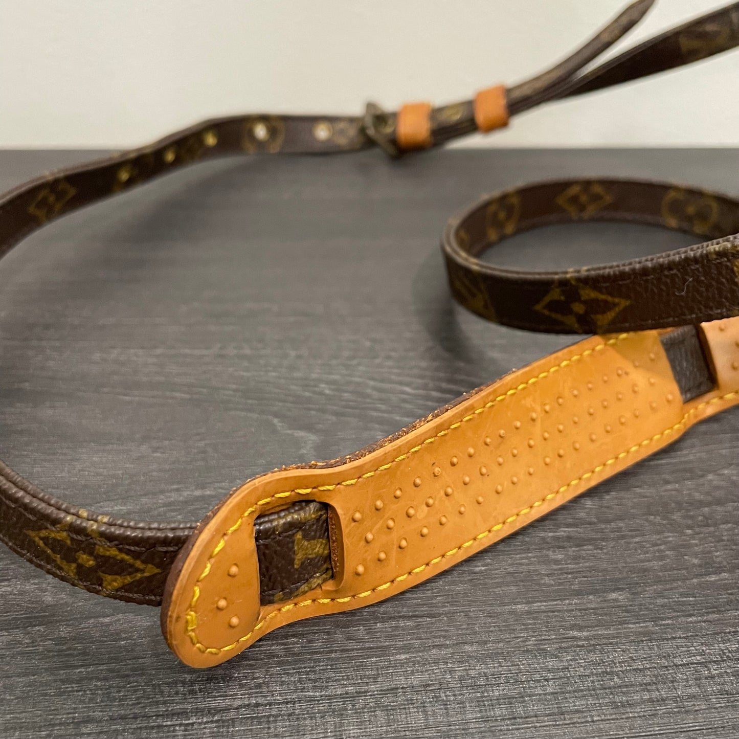 Louis Vuitton Monogram Danube