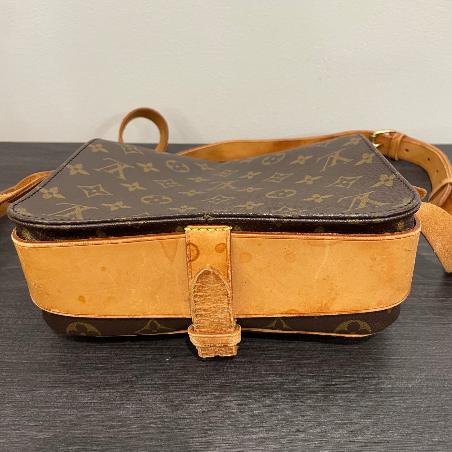 Louis Vuitton Monogram Cartouchiere