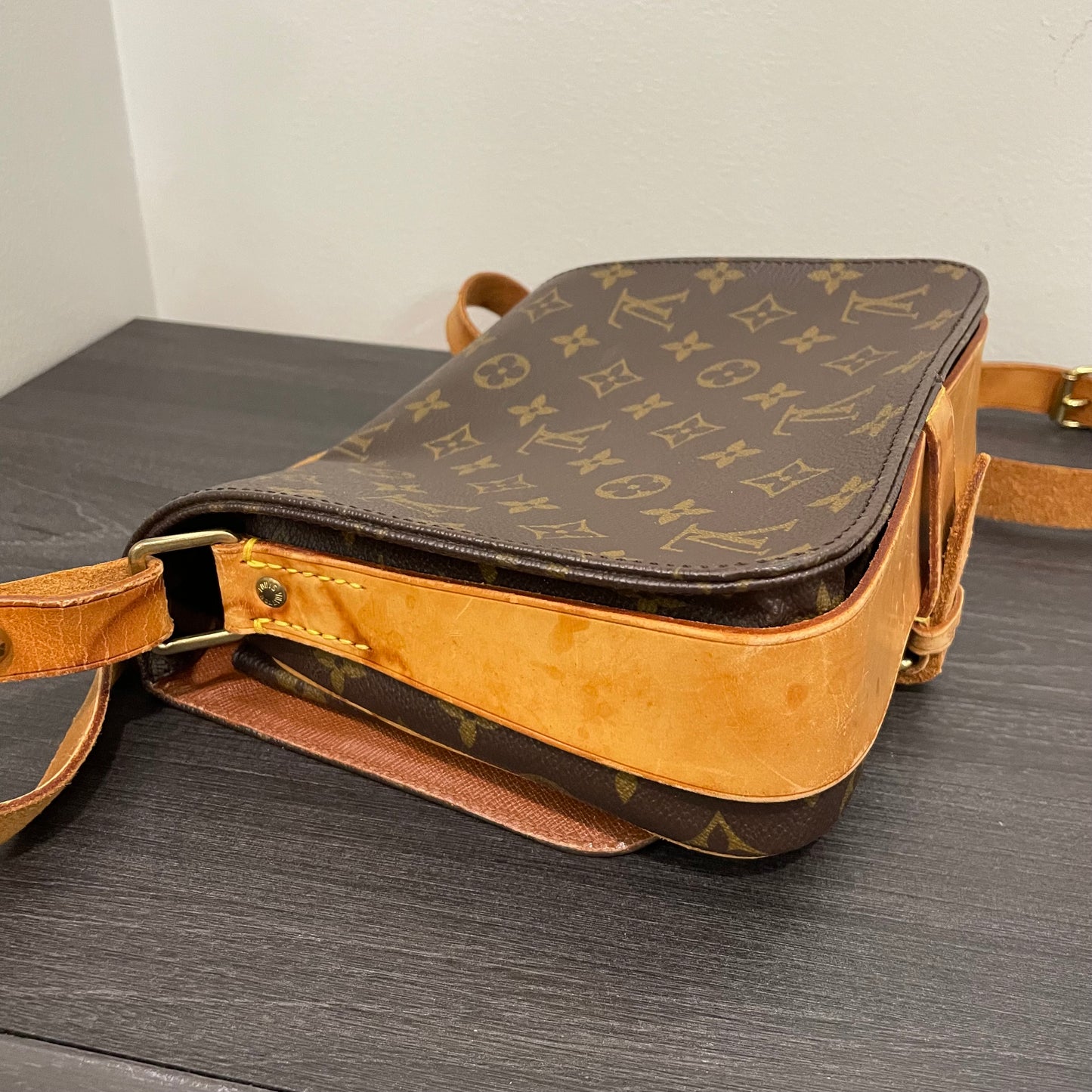 Louis Vuitton Monogram Cartouchiere