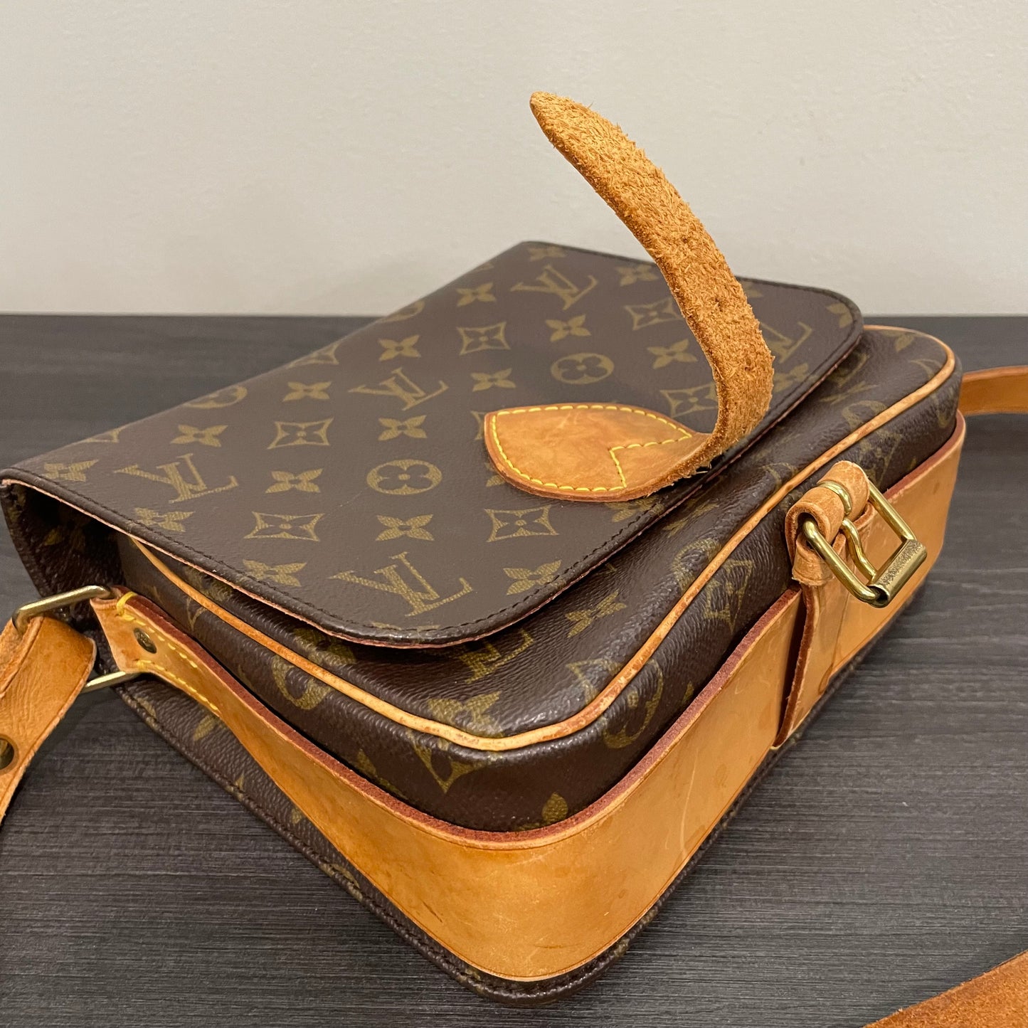 Louis Vuitton Monogram Cartouchiere