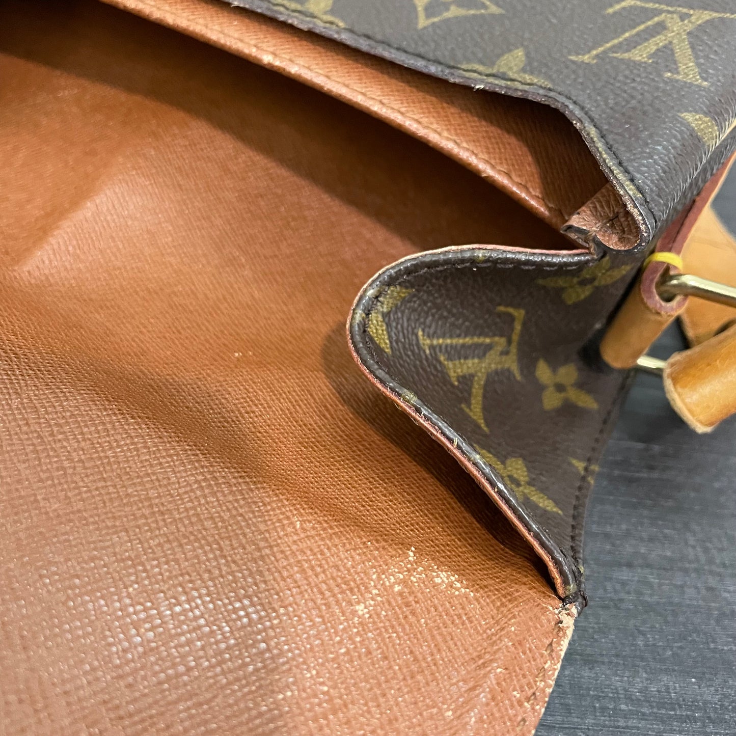 Louis Vuitton Monogram Cartouchiere