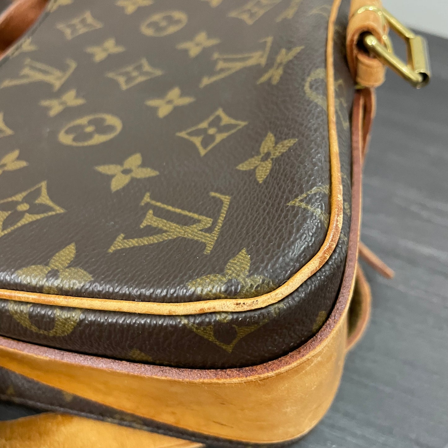 Louis Vuitton Monogram Cartouchiere