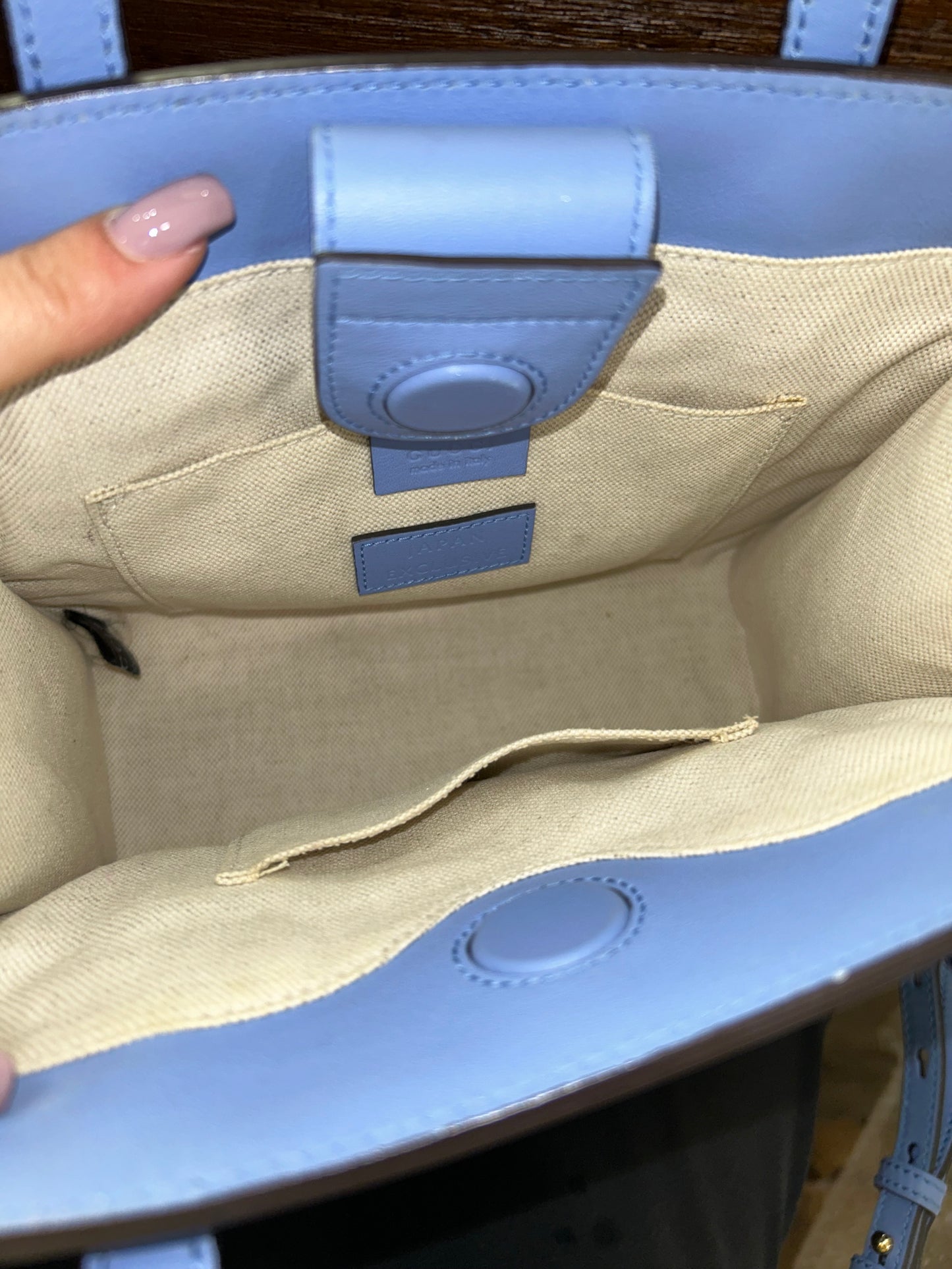 GUCCI Small GG Ribbon Tote EXCLUSIVELY RARE