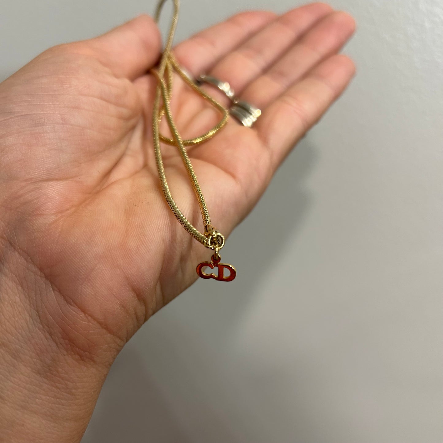 1048 DIOR Necklace