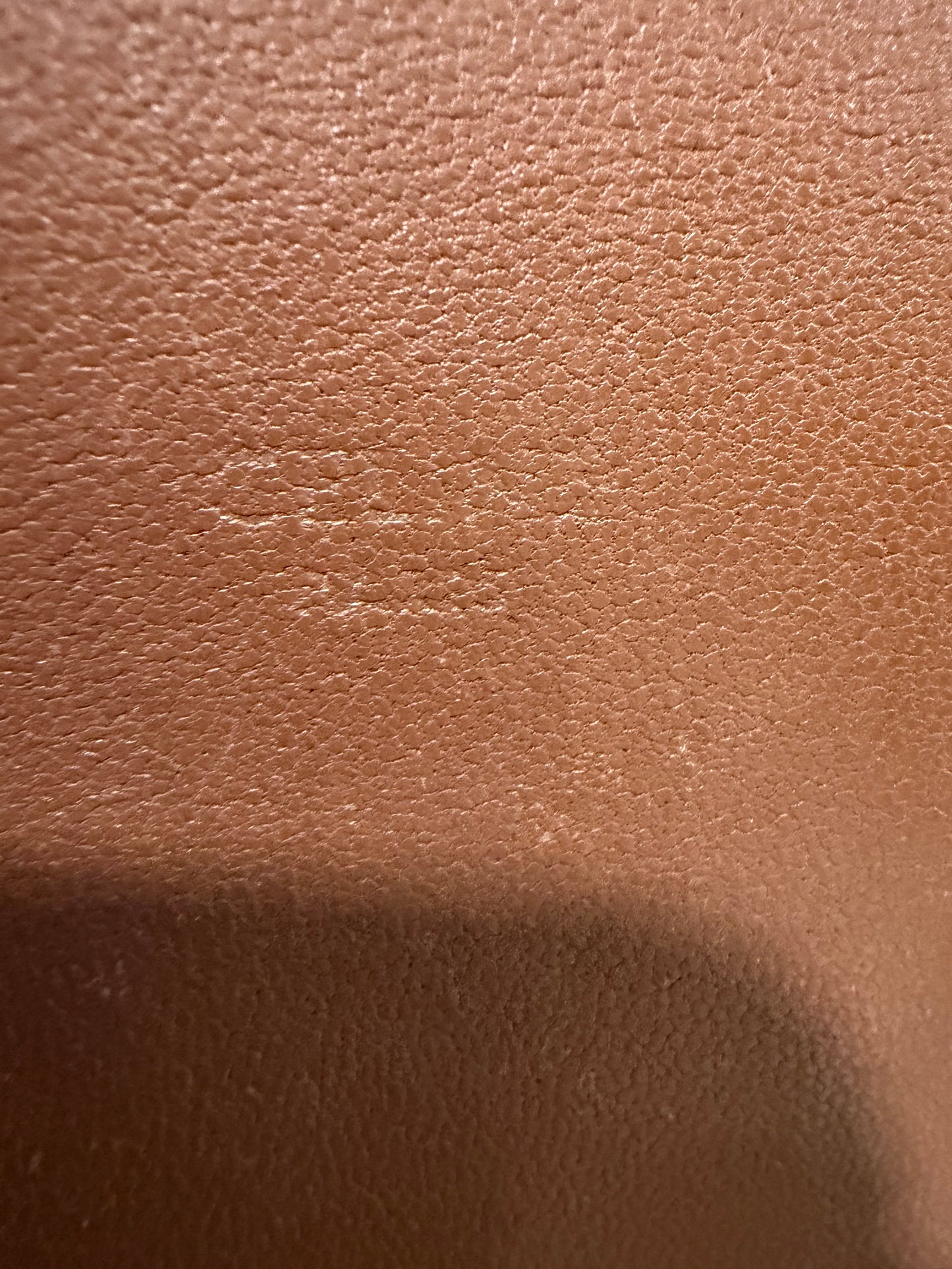 1114 CELINE Mini Crossbody