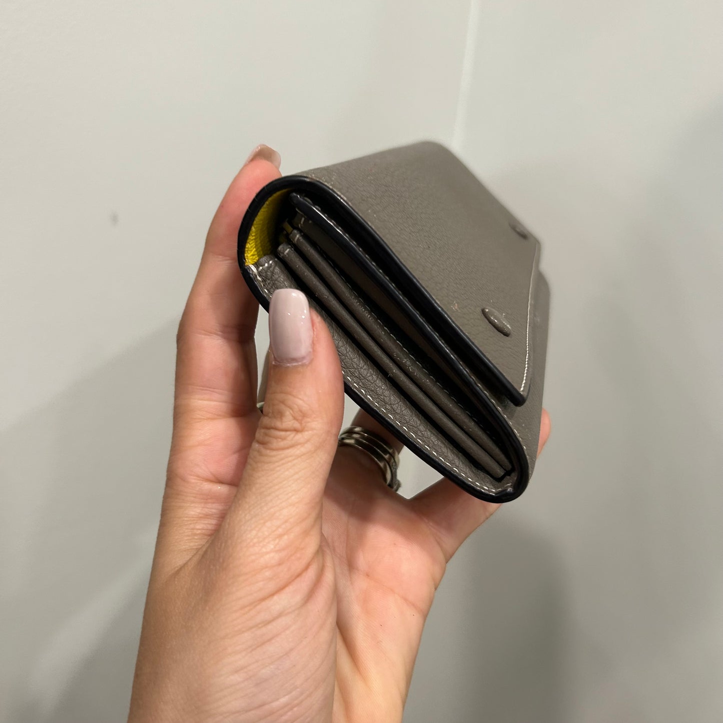 #111 Celine Wallet