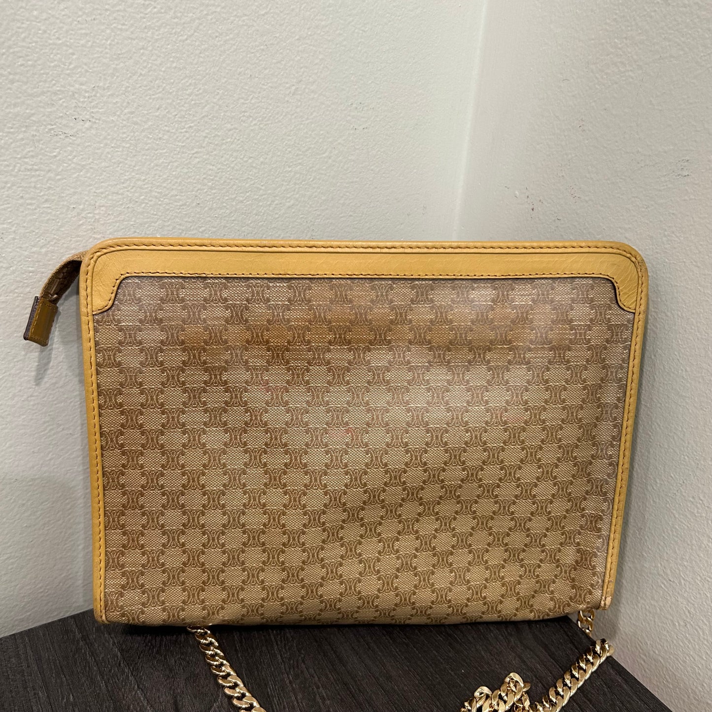#254 CELINE Pouch