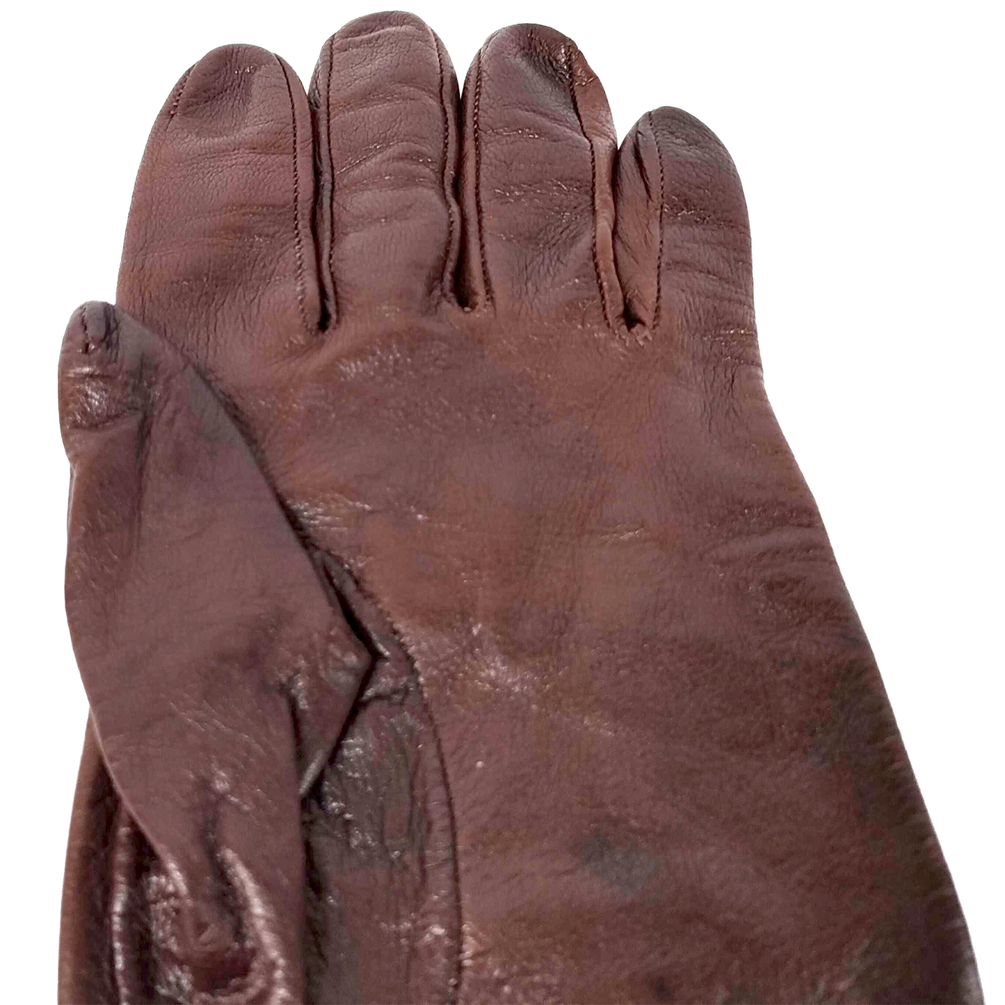 #1302 BOTTEGA VENETA Women's Long Leather Gloves (Size 7)