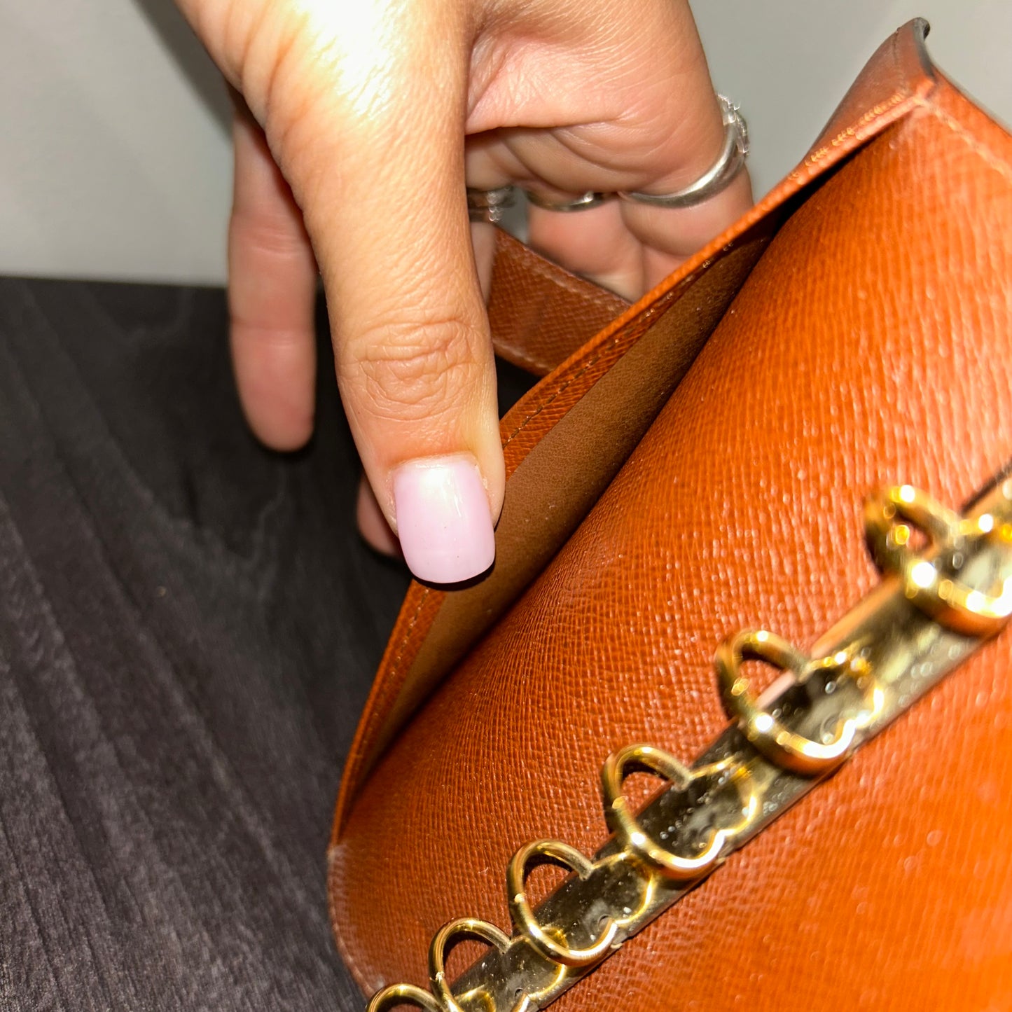 1001 LOUIS VUITTON Agenda PM MSRP $505