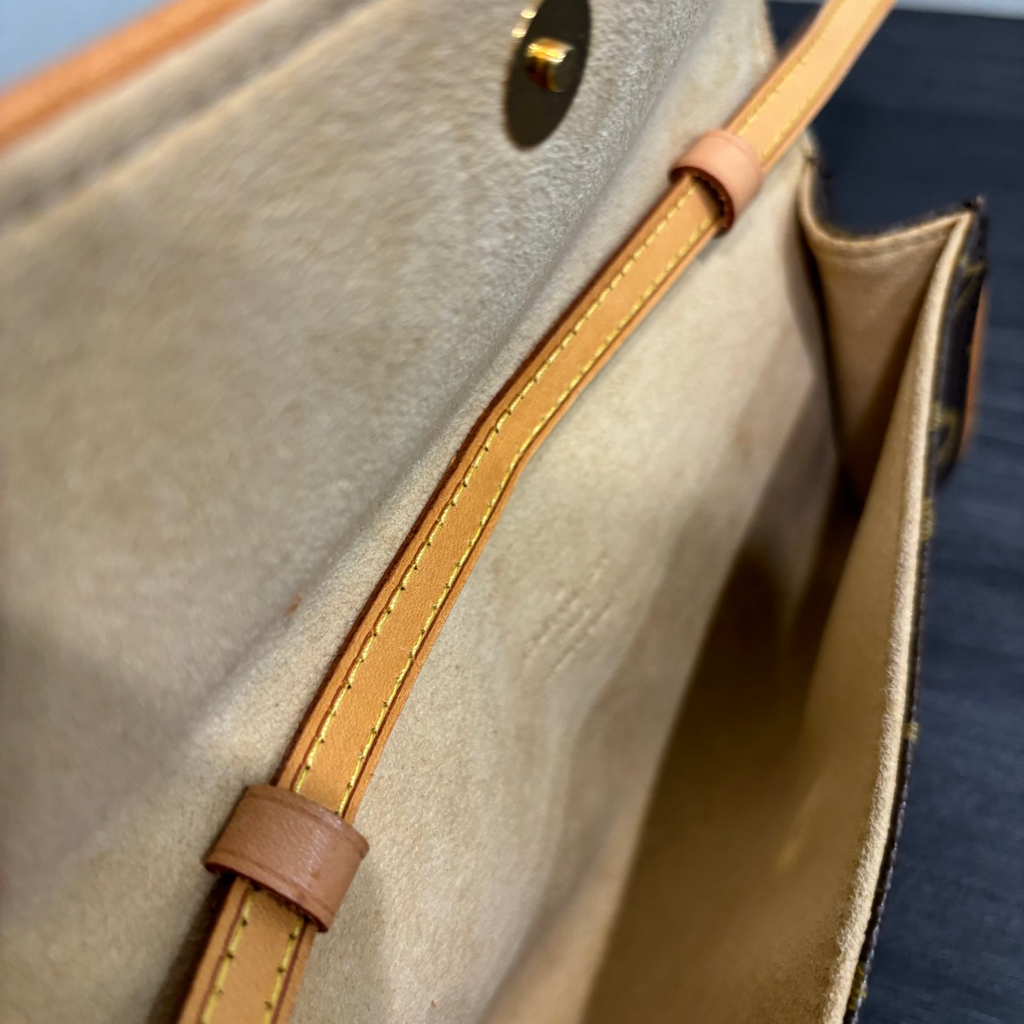 #308 LOUIS VUITTON Twin Pochette PM
