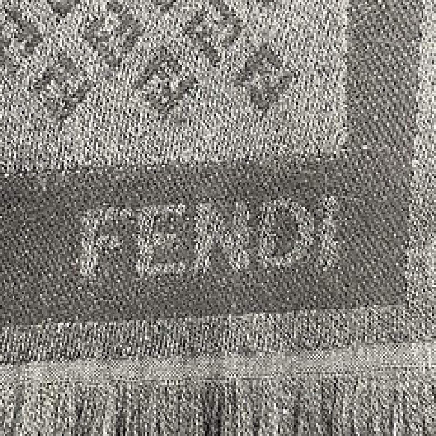 #107 FENDI Charcoal Wool Scarf