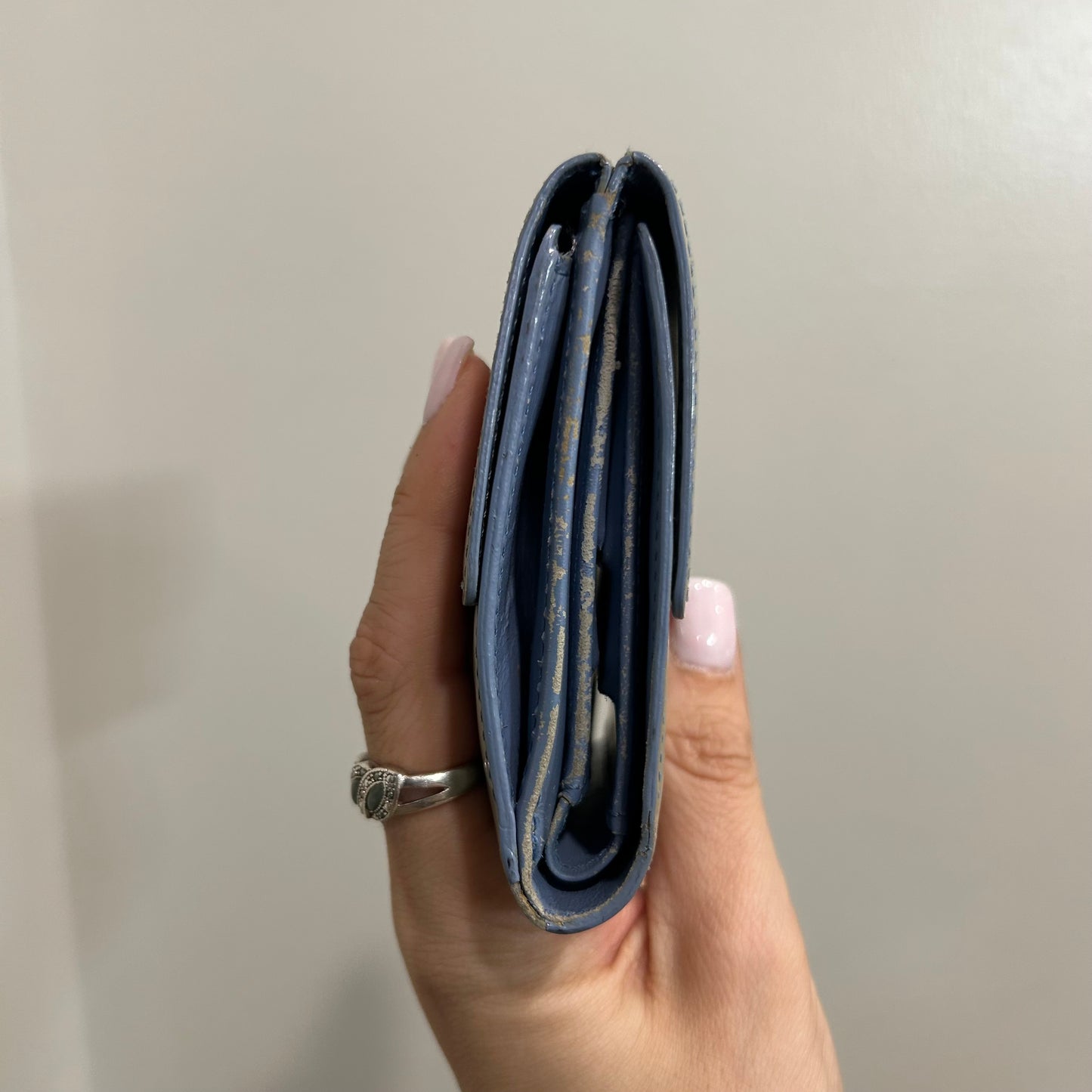 Louis Vuitton Vernis Wallet