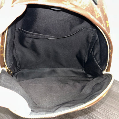 #102 LOUIS VUITTON Palm Springs MM Backpack