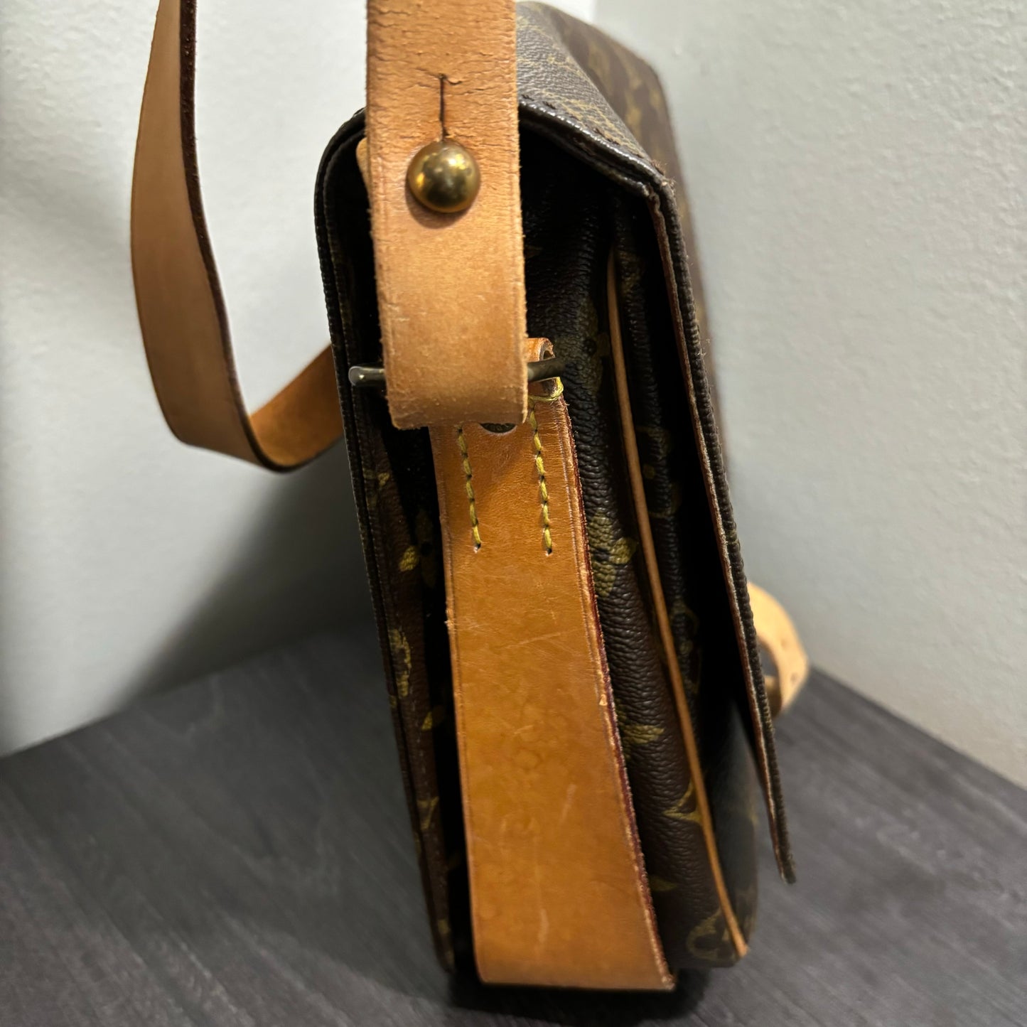 #228 LOUIS VUITTON Cartouchiere GM