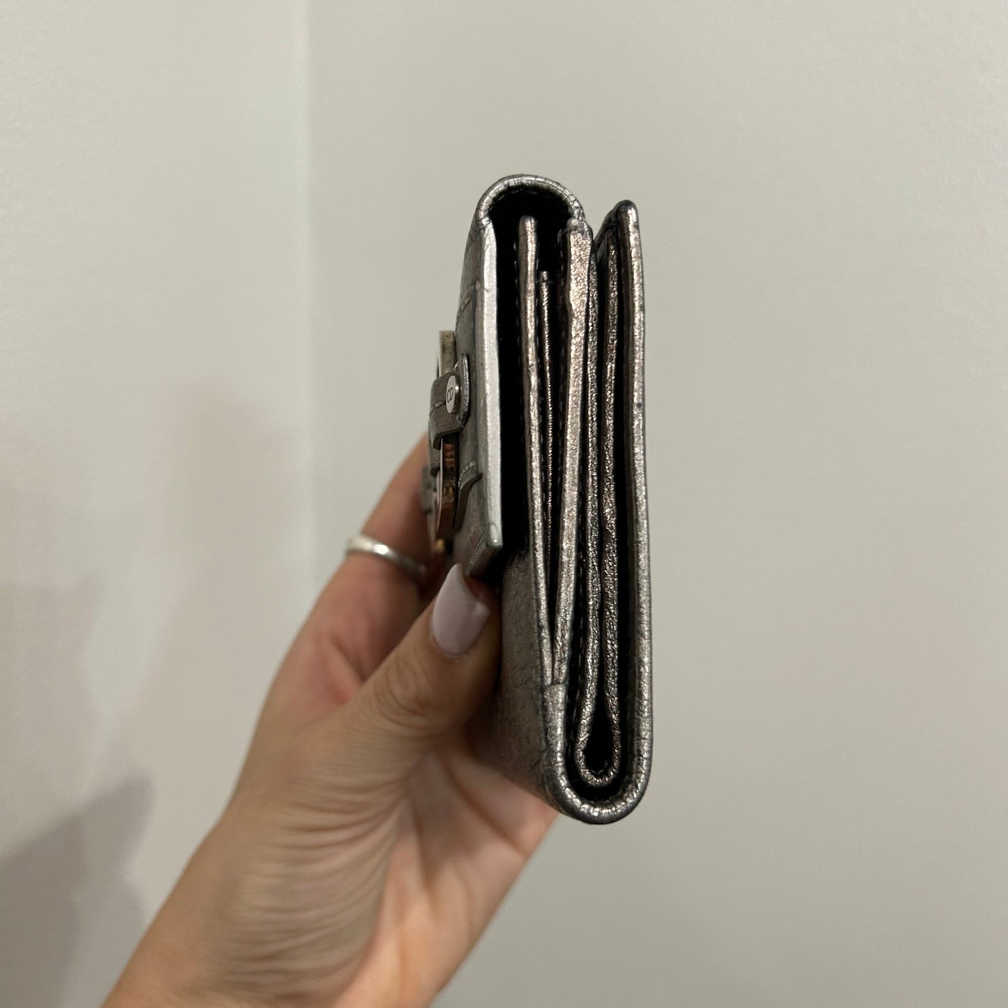 Christian Dior Metalic Wallet