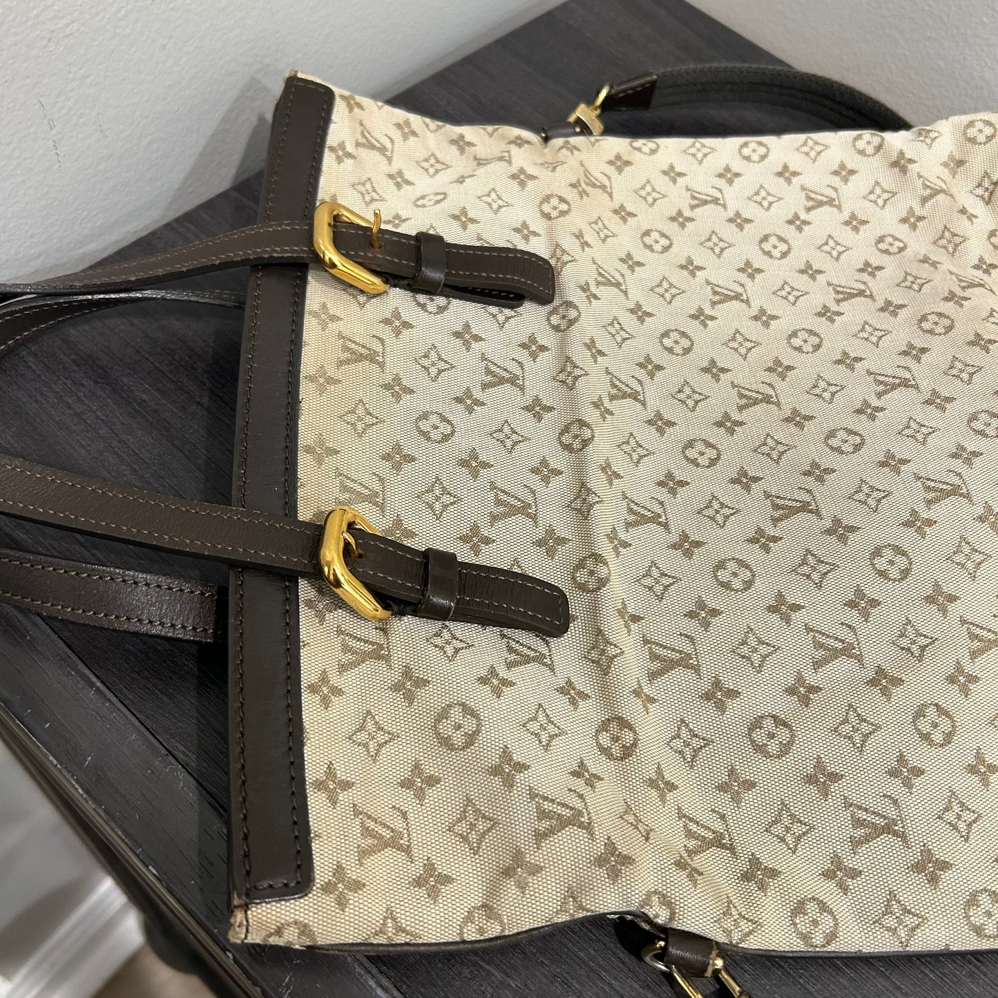 LOUIS VUITTON Fracoise Minilin #238
