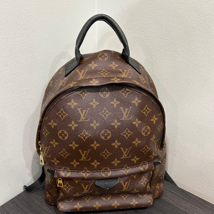 #102 LOUIS VUITTON Palm Springs MM Backpack