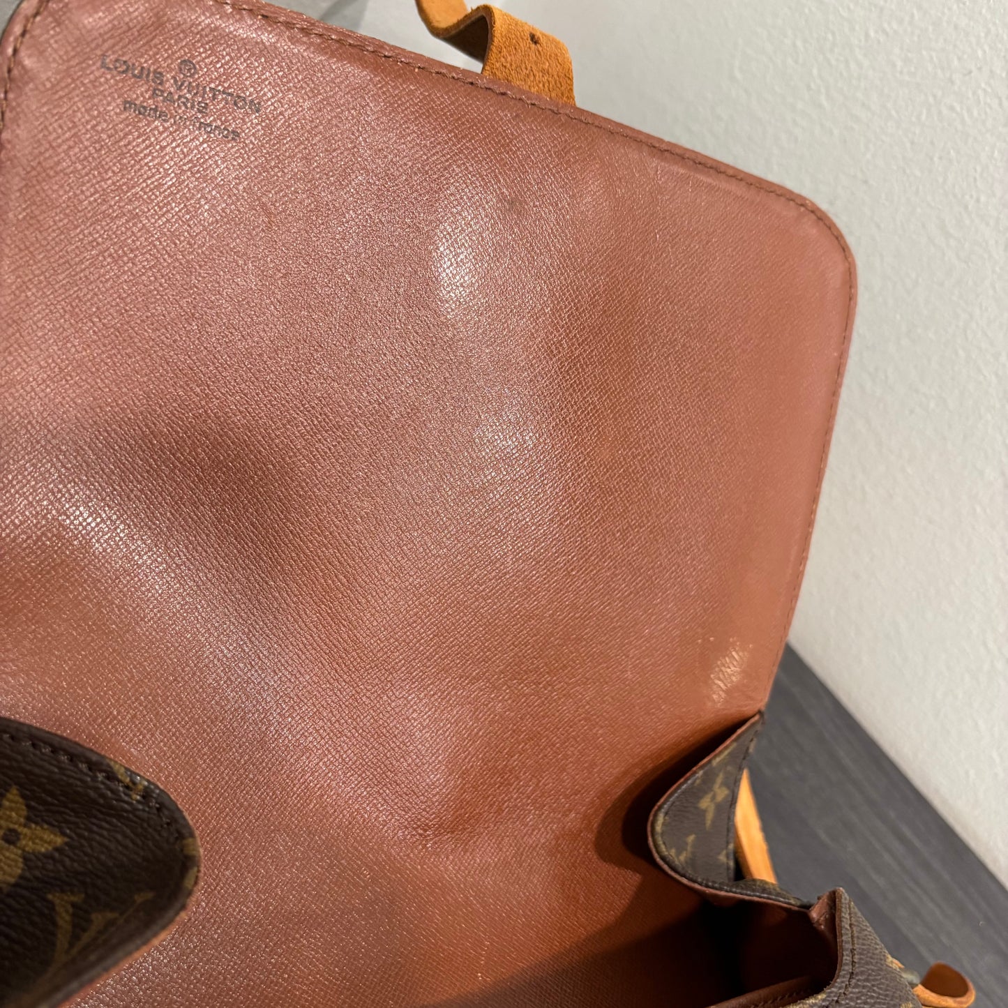 #351 LOUIS VUITTON Cartouchiere MM