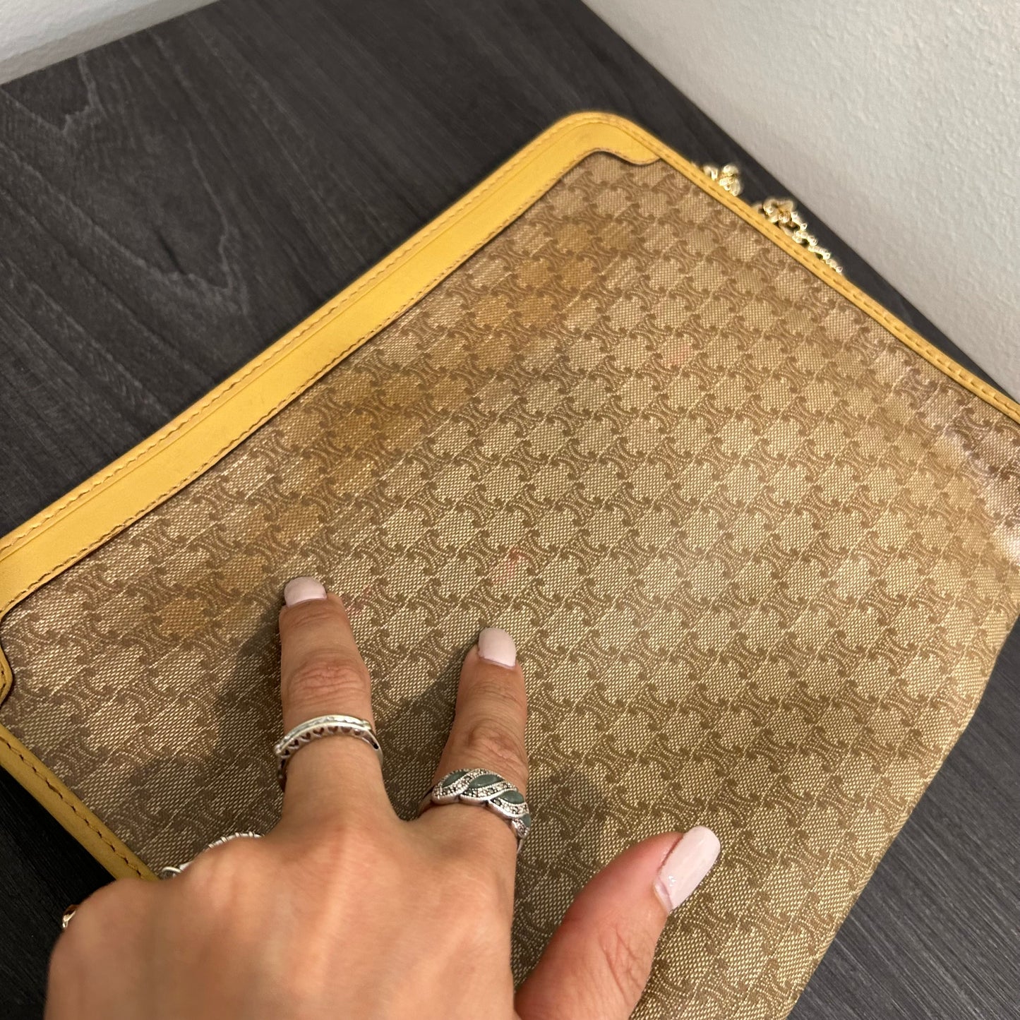 #254 CELINE Pouch