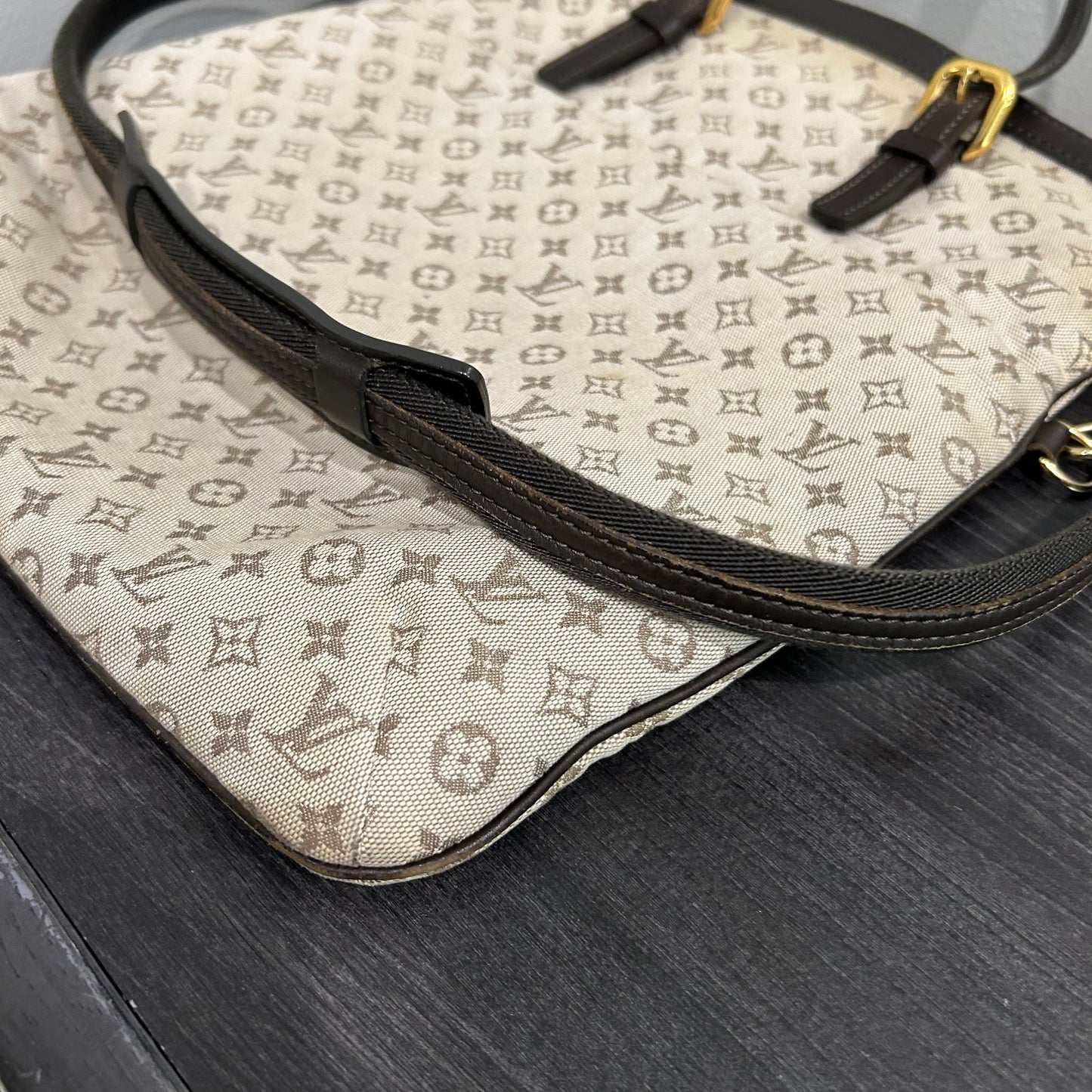 LOUIS VUITTON Fracoise Minilin #238