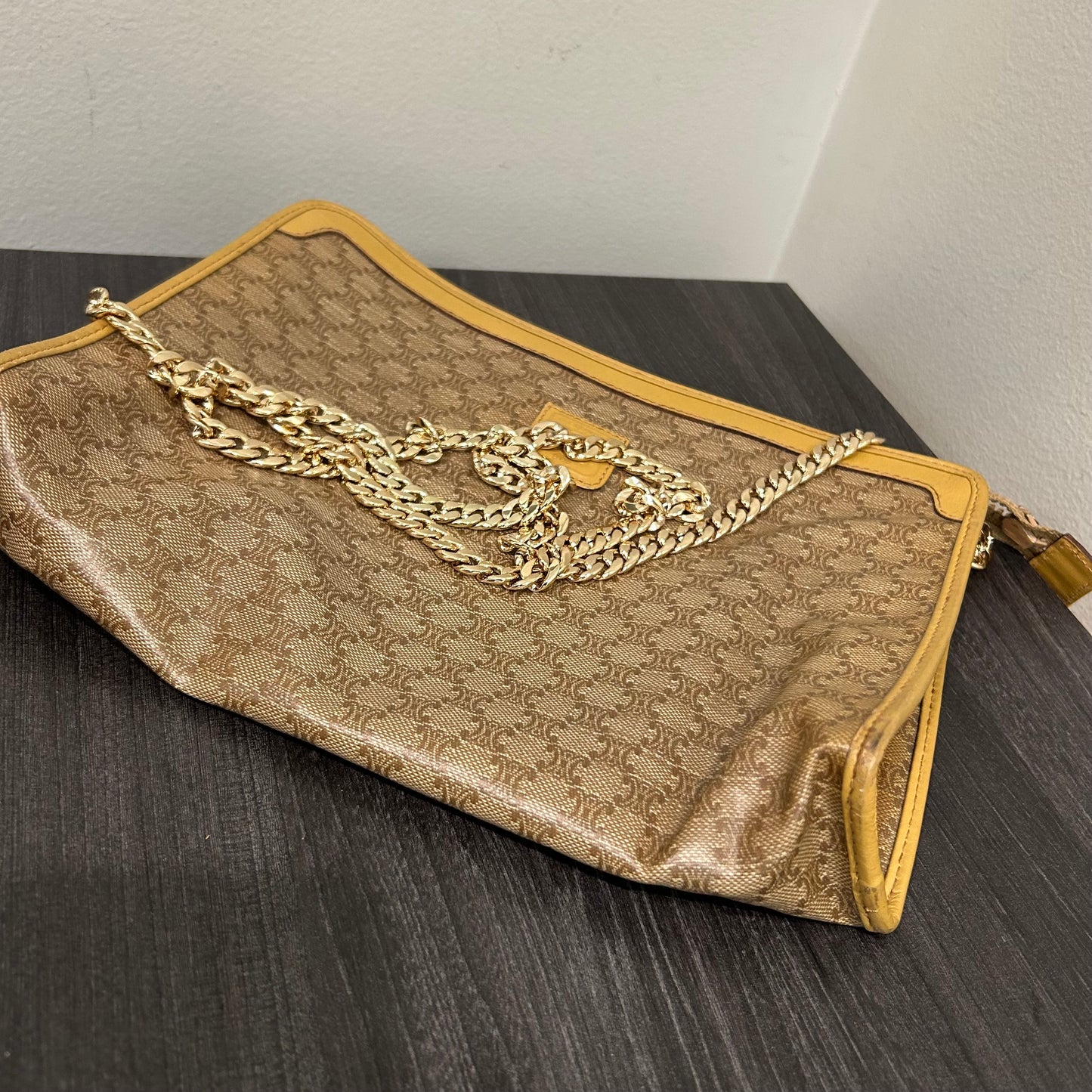 #254 CELINE Pouch